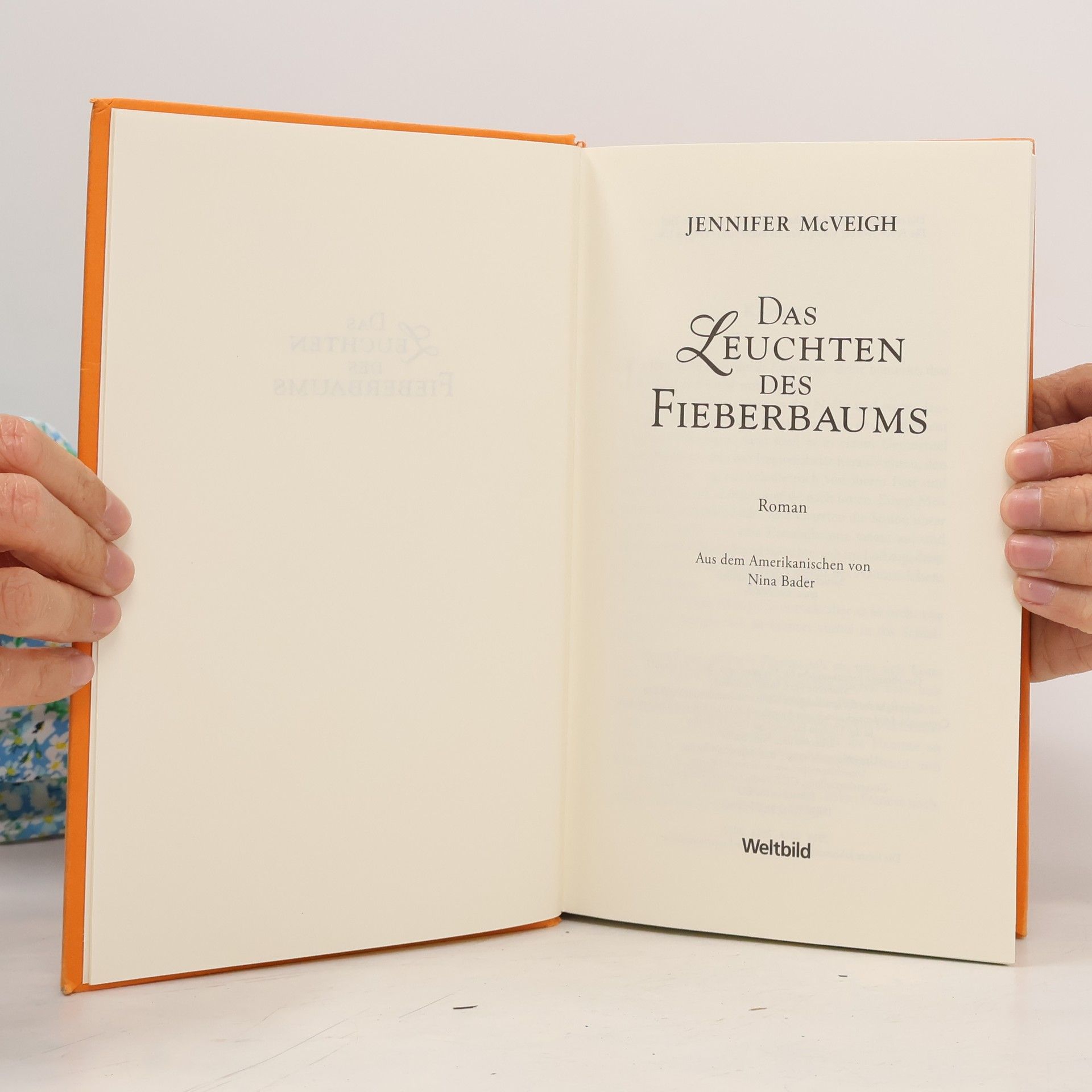 Jennifer McVeigh Das Leuchten des Fieberbaums