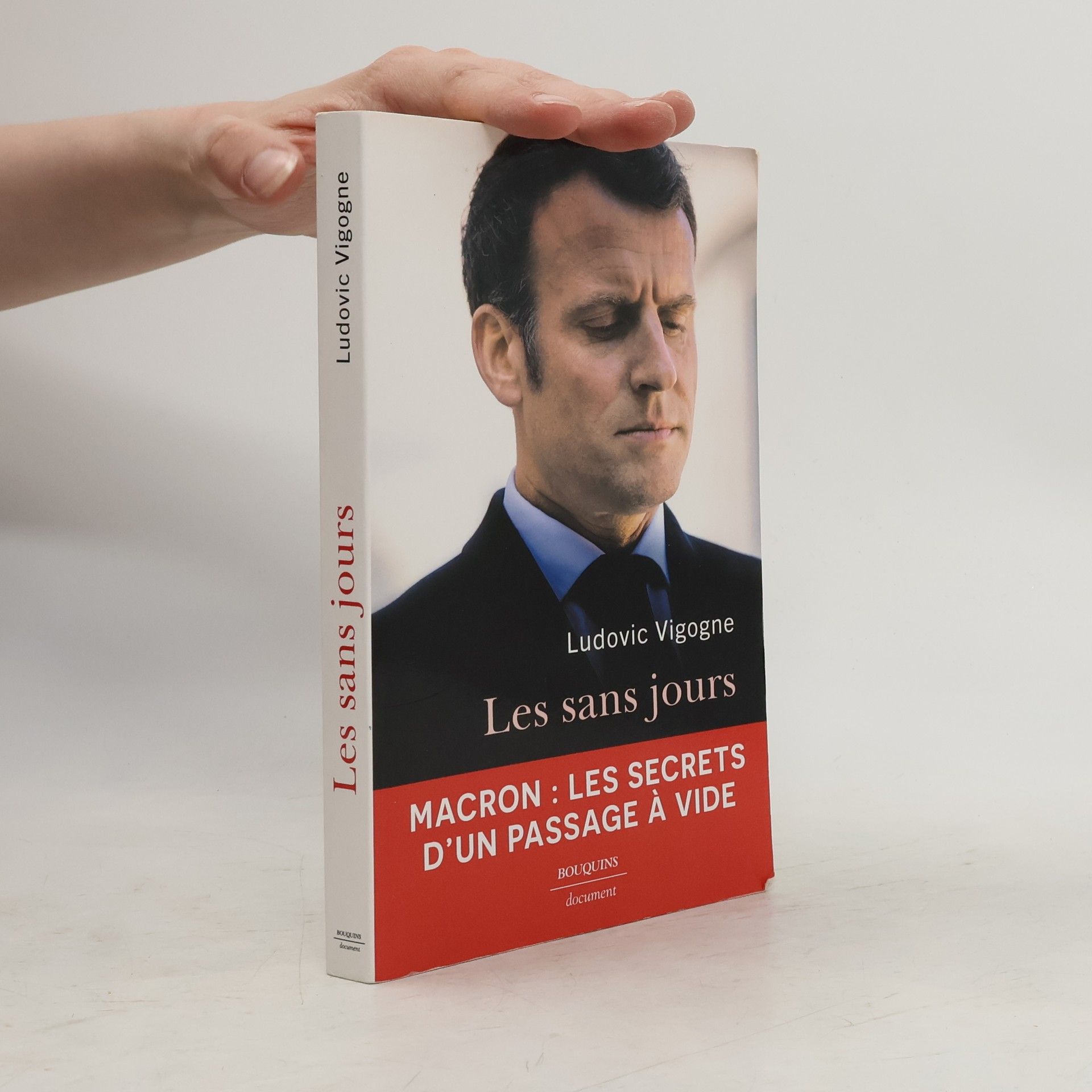 Ludovic Vigogne Les sans jours