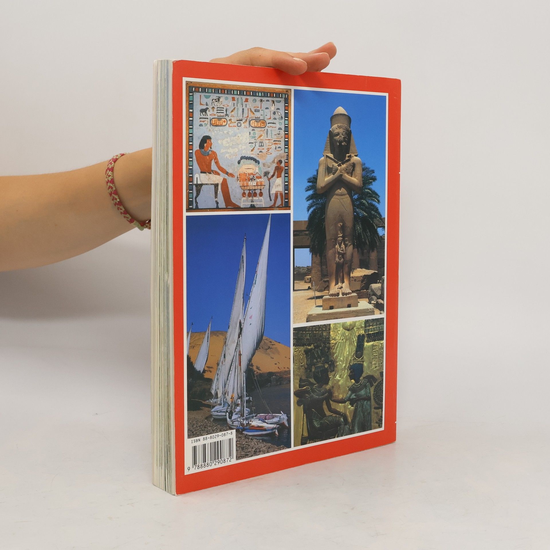 Alberto Carlo Carpiceci Art et histoire de l'Egypte: 5000 ans de civilisation - édition française
