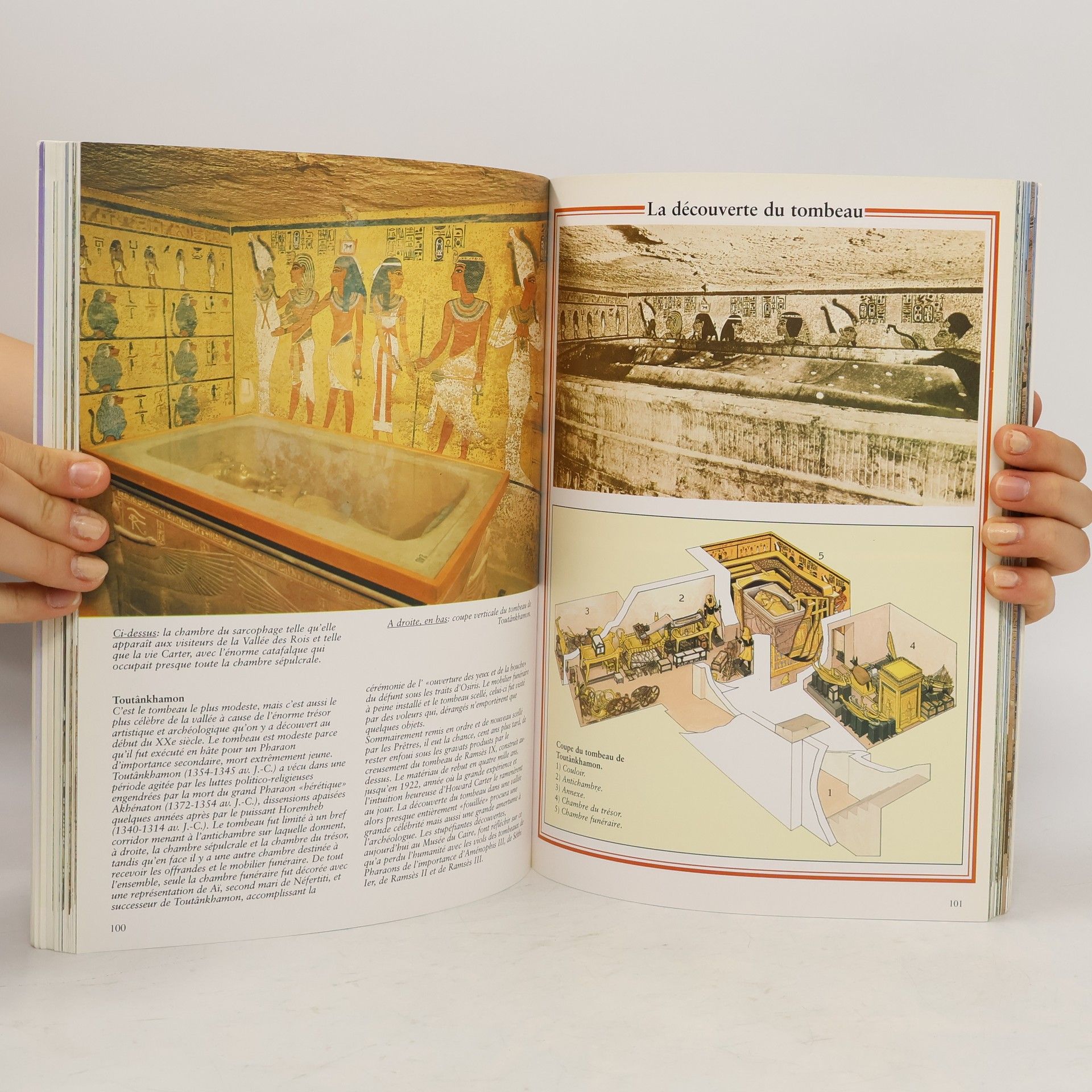 Alberto Carlo Carpiceci Art et histoire de l'Egypte: 5000 ans de civilisation - édition française