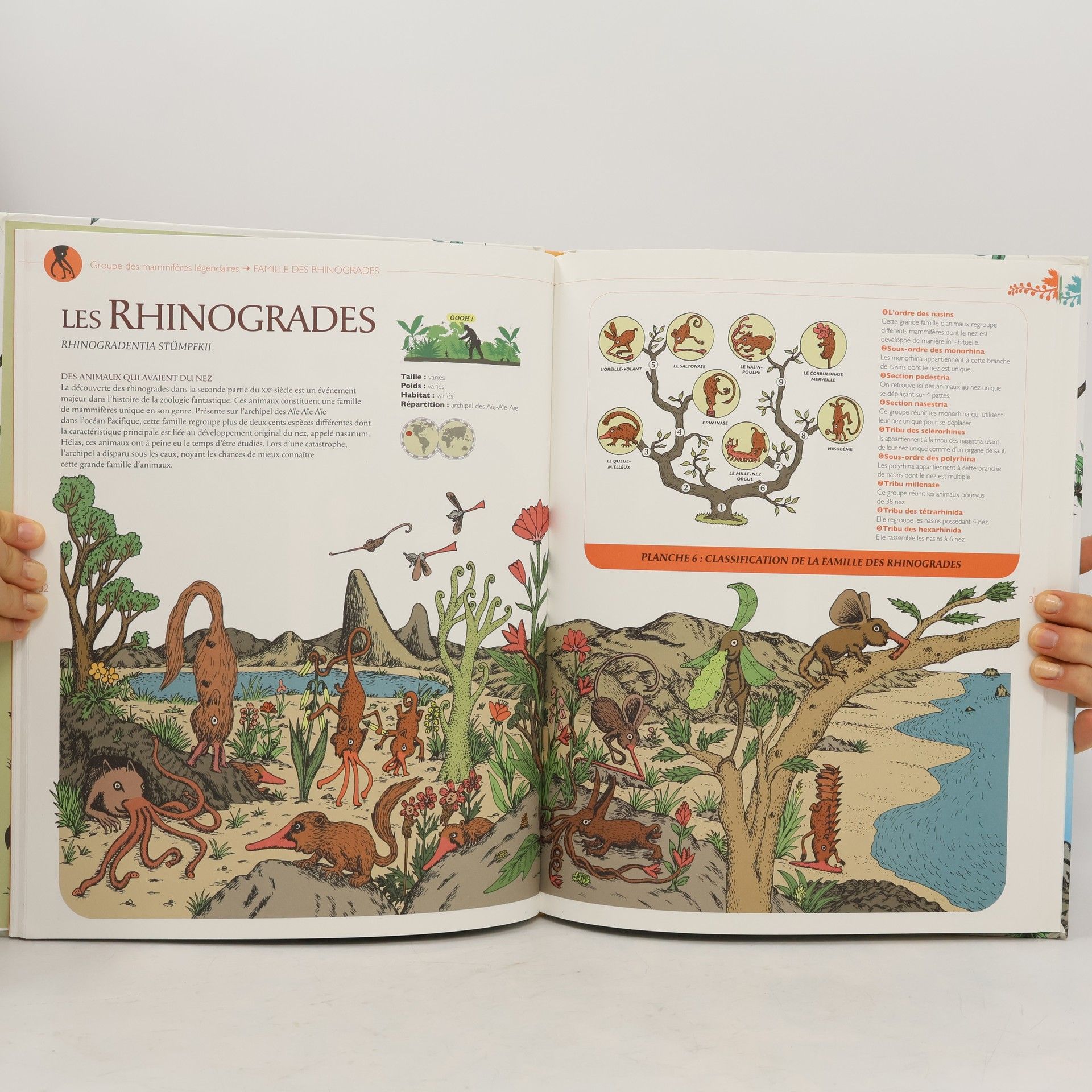 Hélène Rajcak Histoires naturelles des animaux imaginaires