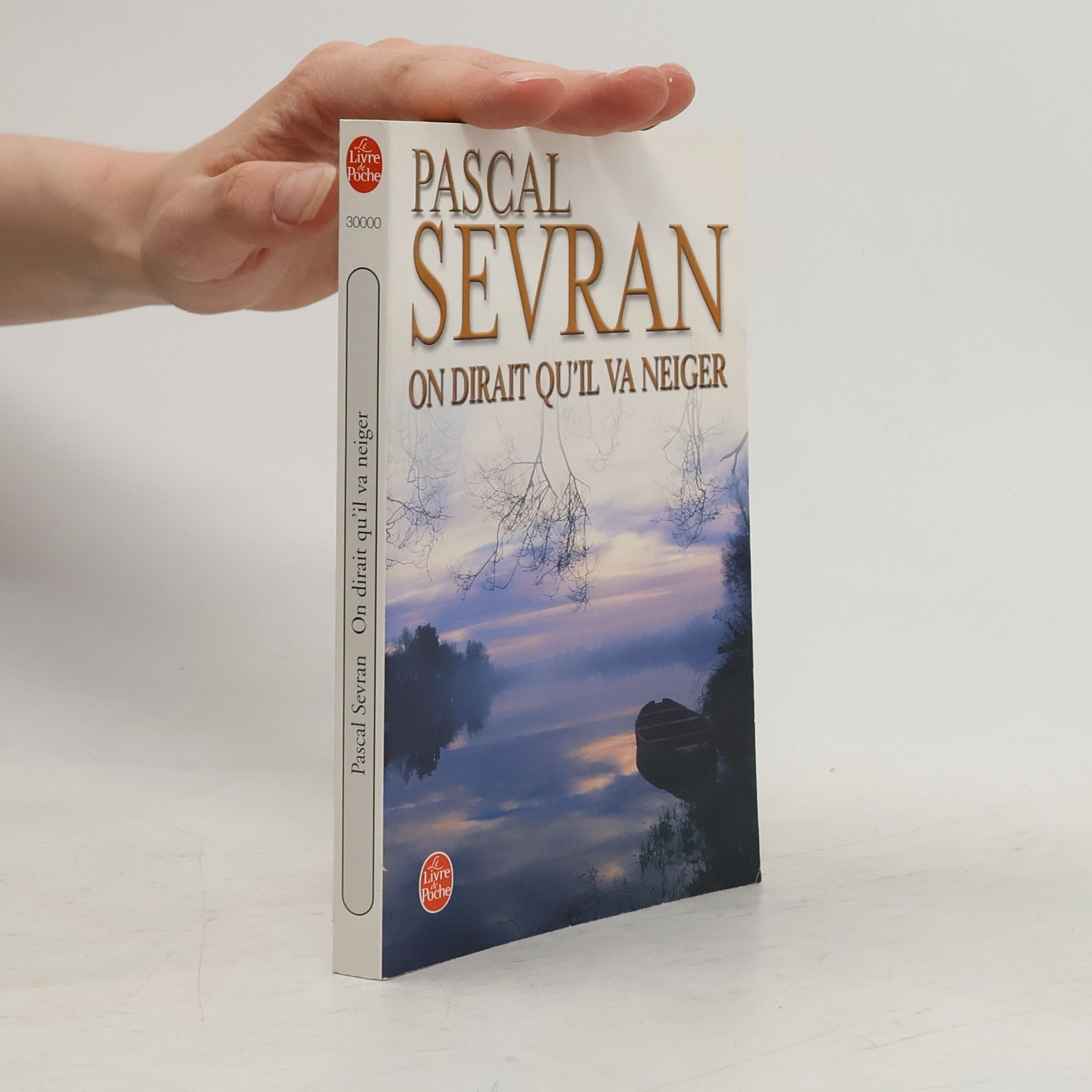 Pascal Sevran On dirait qu'il va neiger