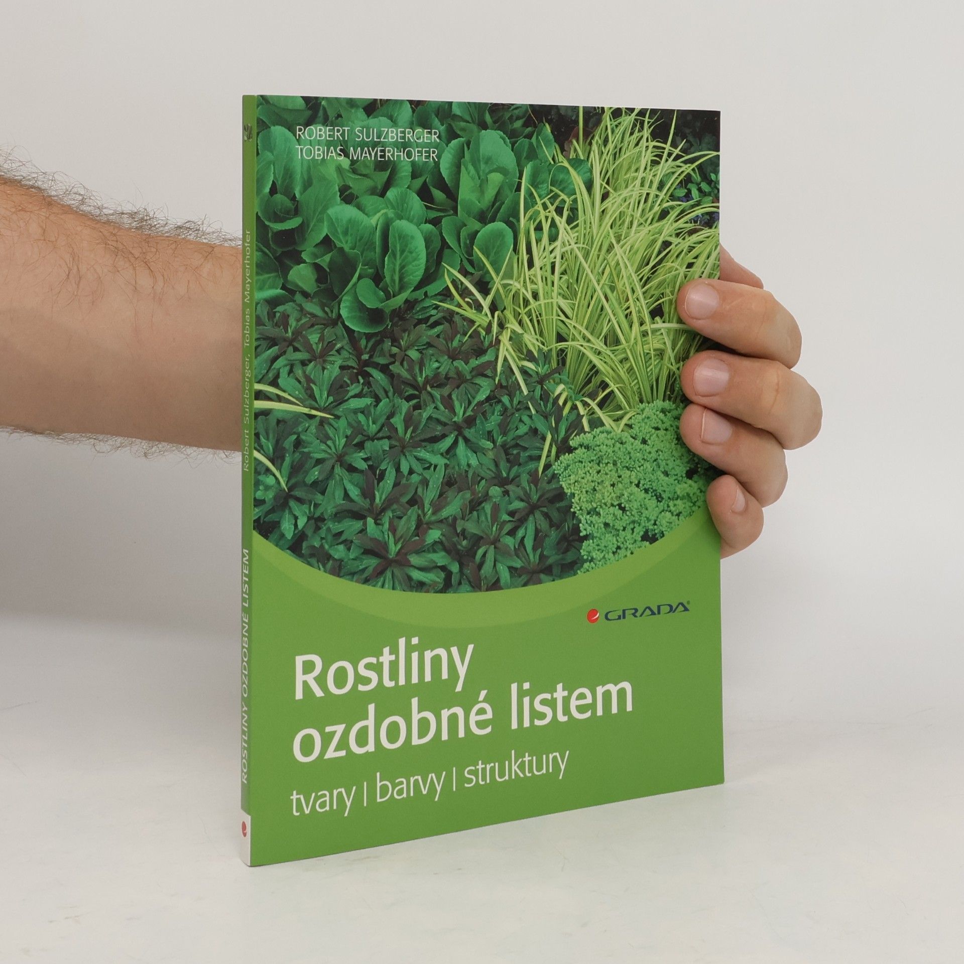 Robert Sulzberger Rostliny ozdobné listem