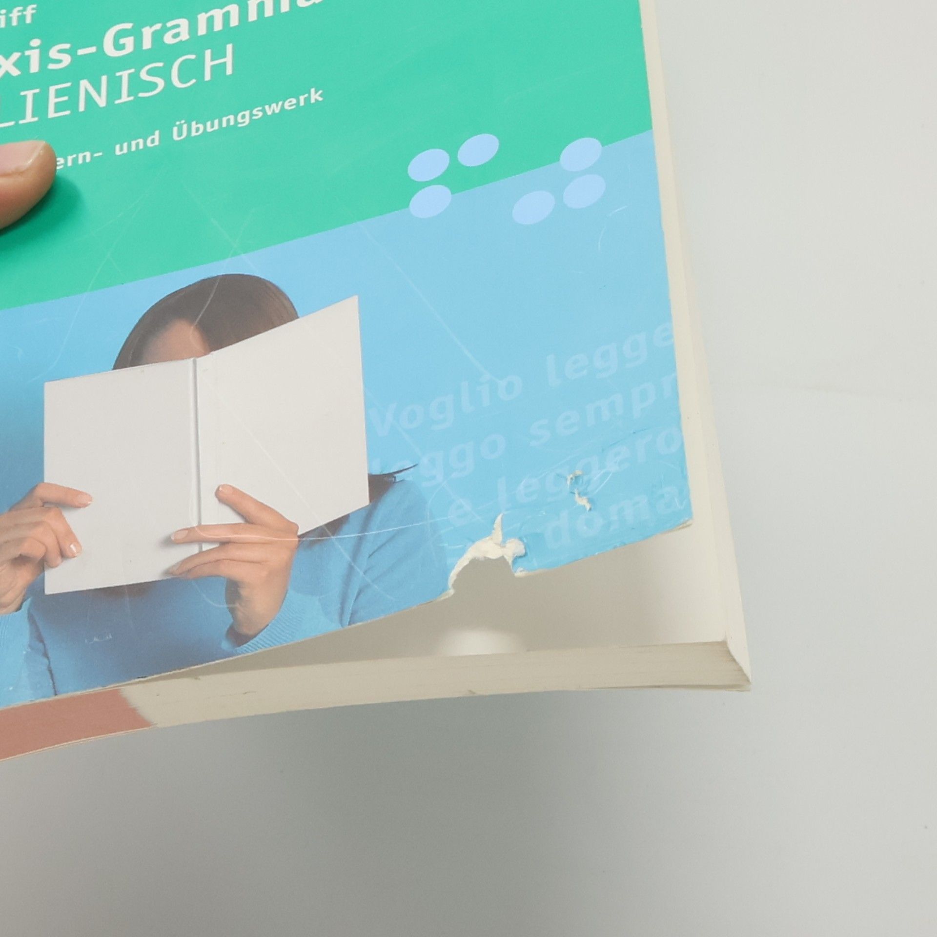 Beatrice Rovere Fenati PONS im Griff - Praxis-Grammatik Italienisch - neu
