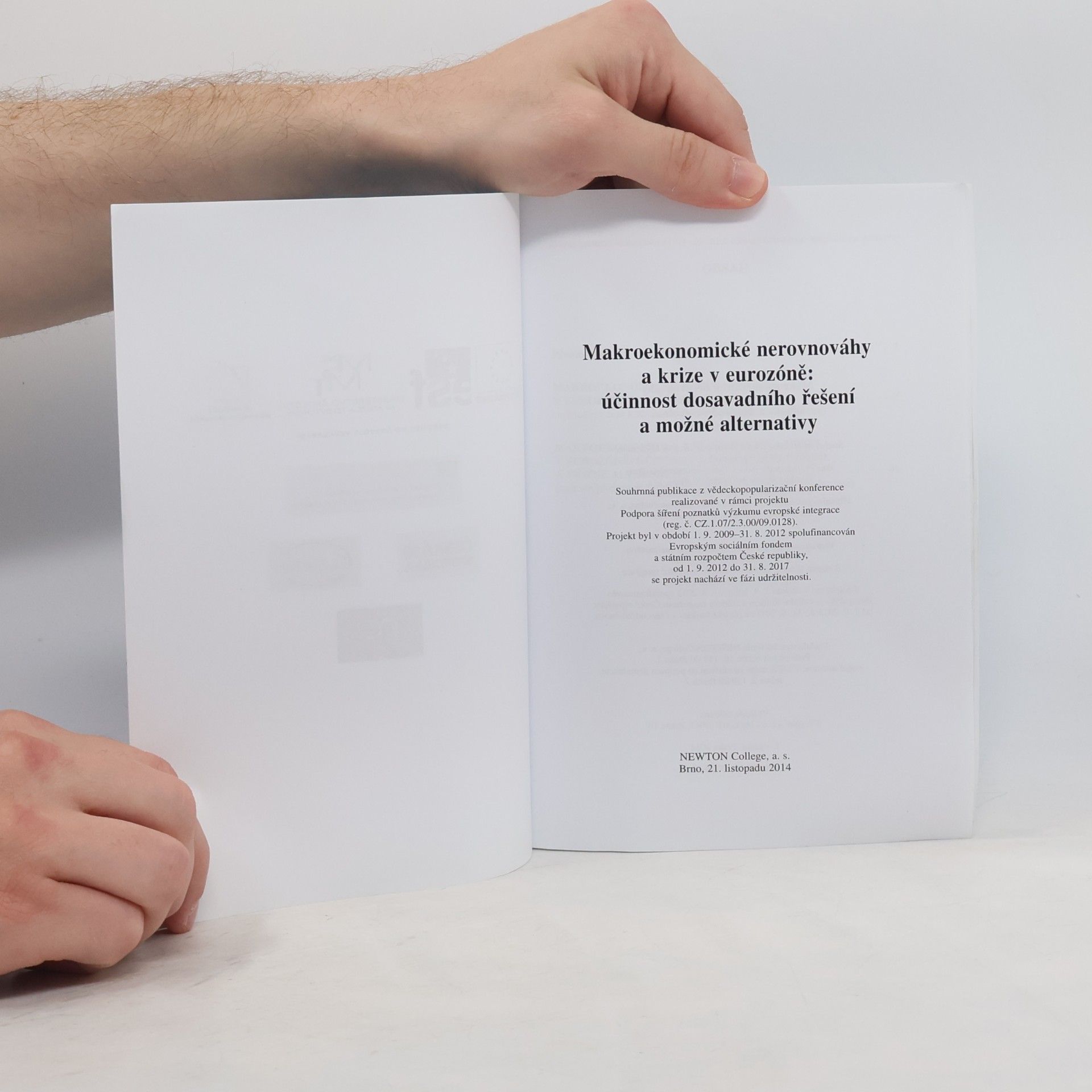Kolektiv autorů Makroekonomické nerovnováhy a krize v eurozóně