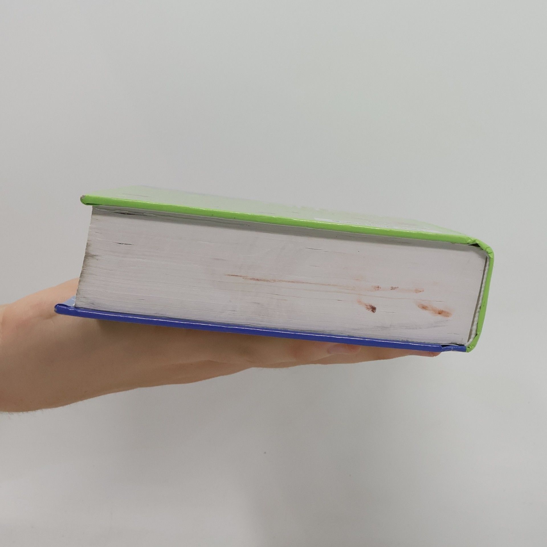 Anonymous NIrV, Kids' Quest Study Bible
