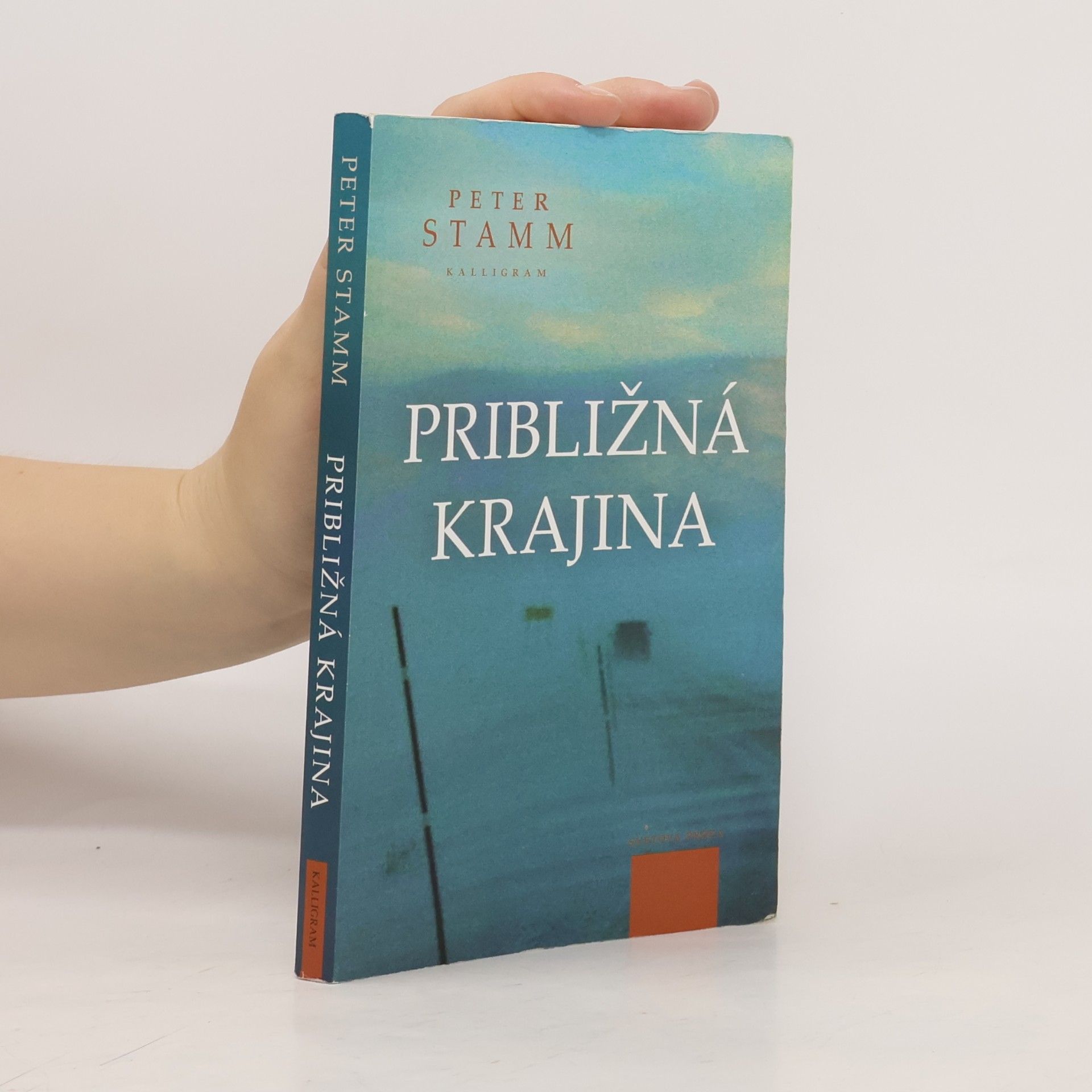 Peter Stamm Približná krajina
