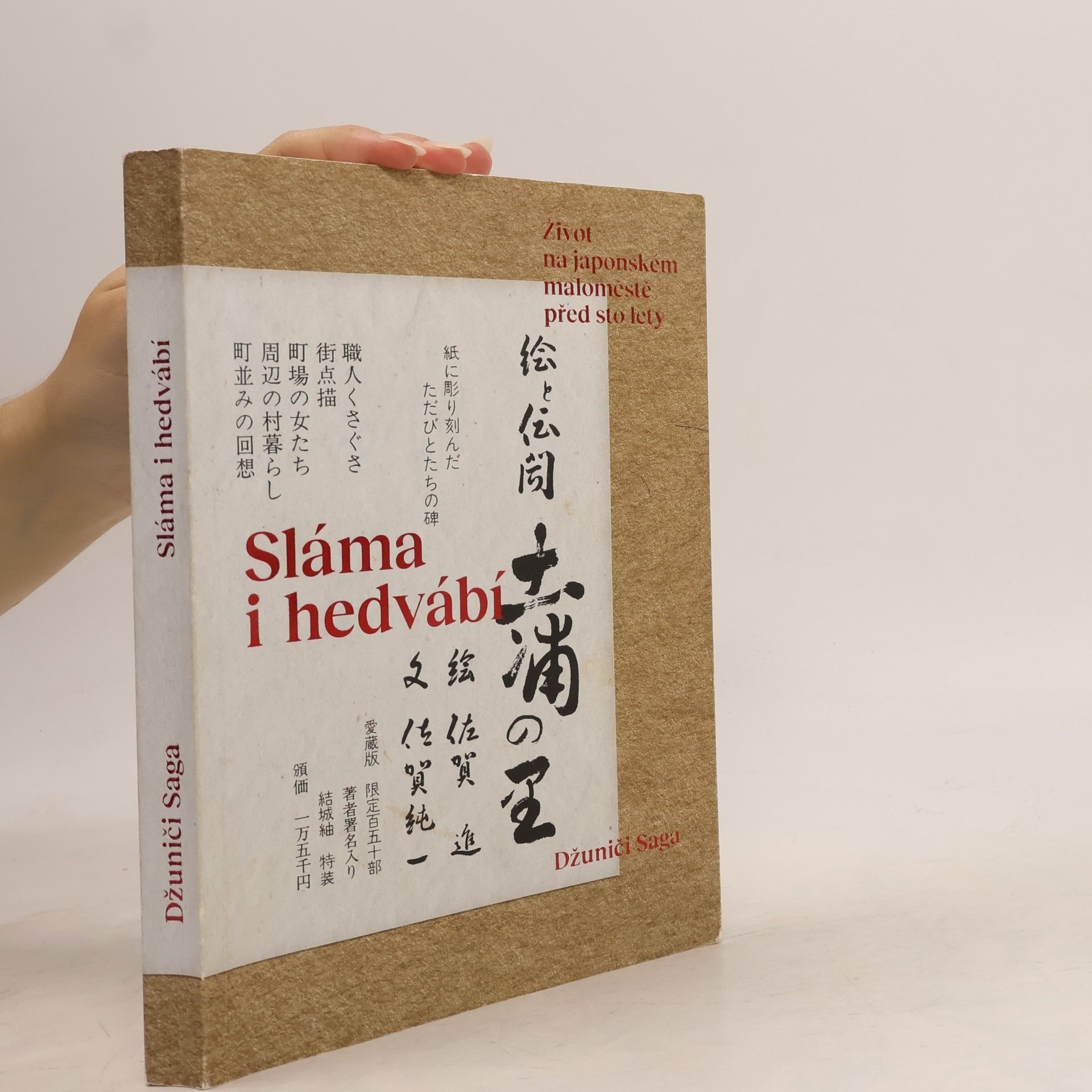 Jun ichi Saga Sláma i hedvábí: Život na japonském maloměstě před sto lety