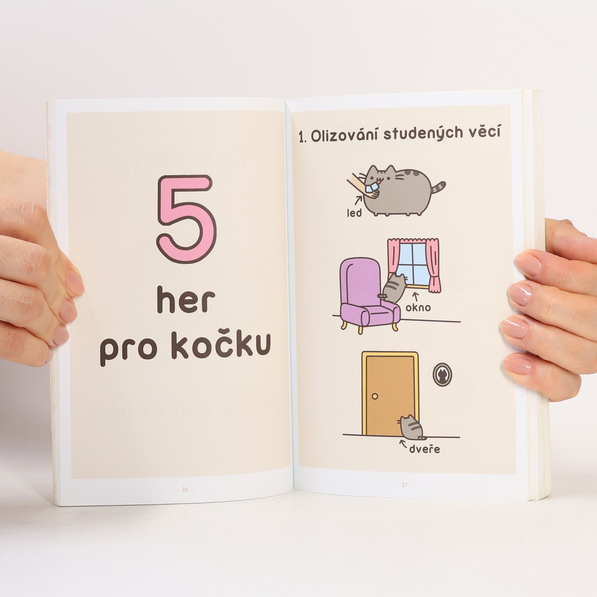 Claire Belton Pusheen. Já, košišta