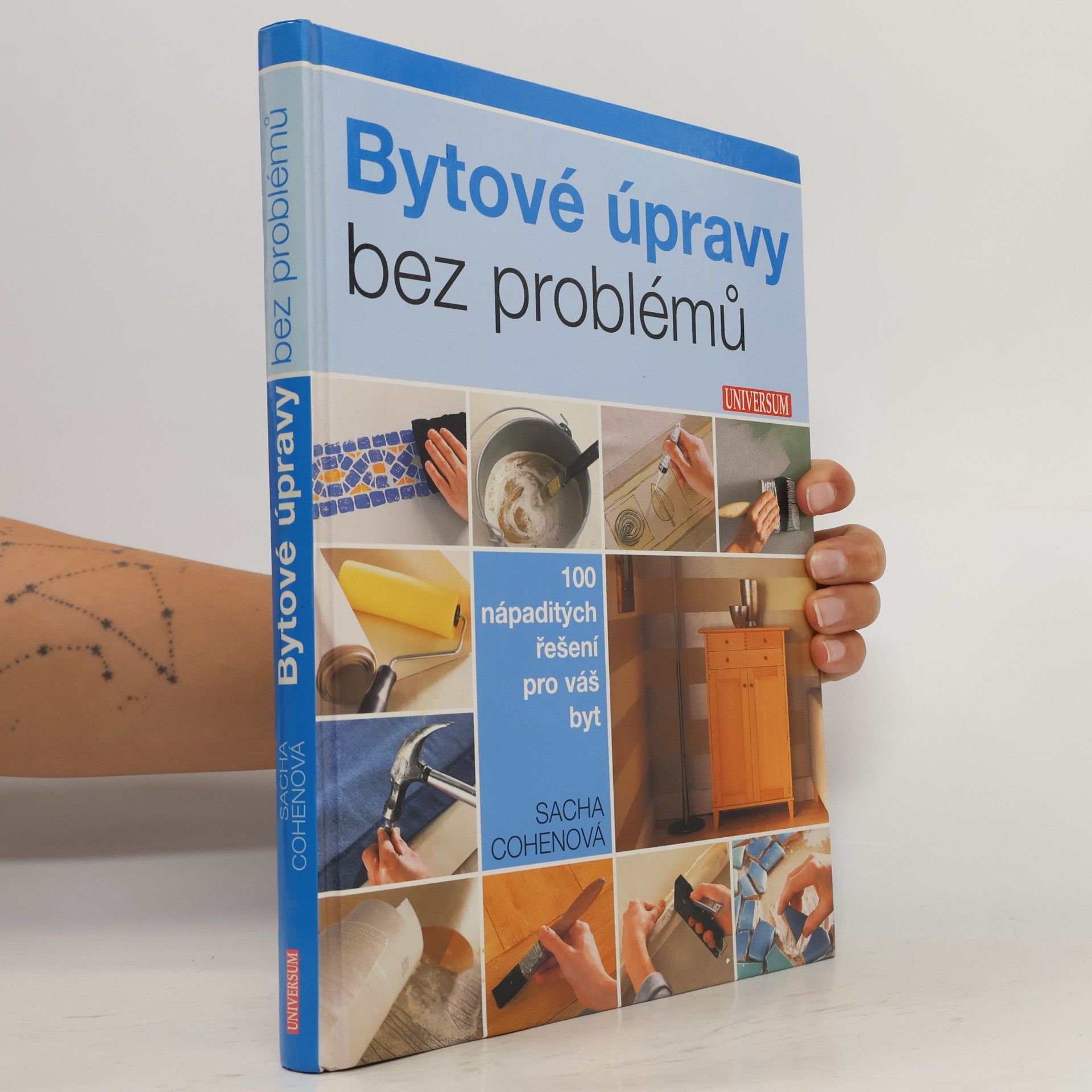 Sacha Cohen Bytové úpravy bez problémů. 100 nápaditých řešení pro váš byt