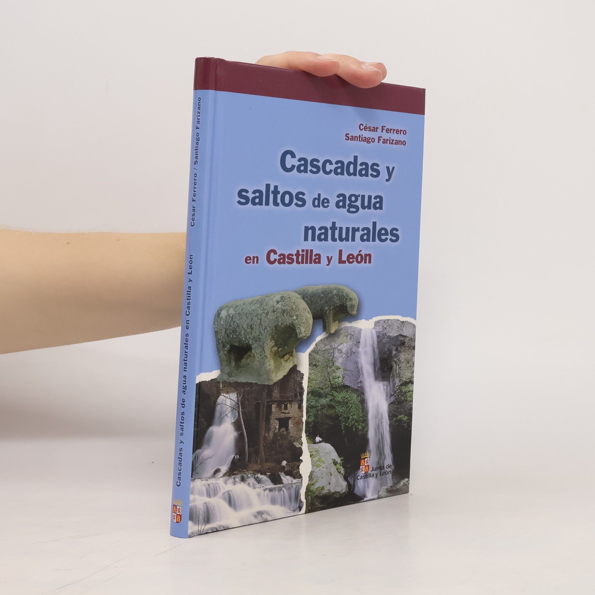 Santiago Farizano Cascadas y saltos de agua naturales en Castilla y León