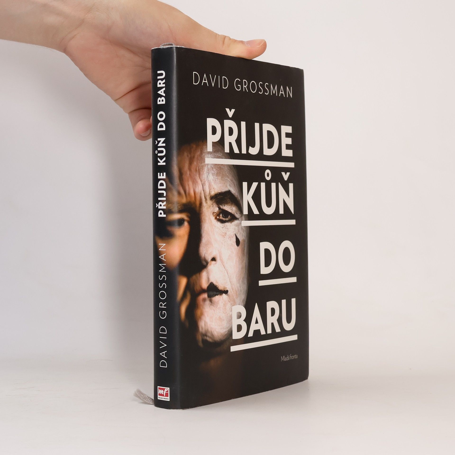 David Grossman Přijde kůň do baru