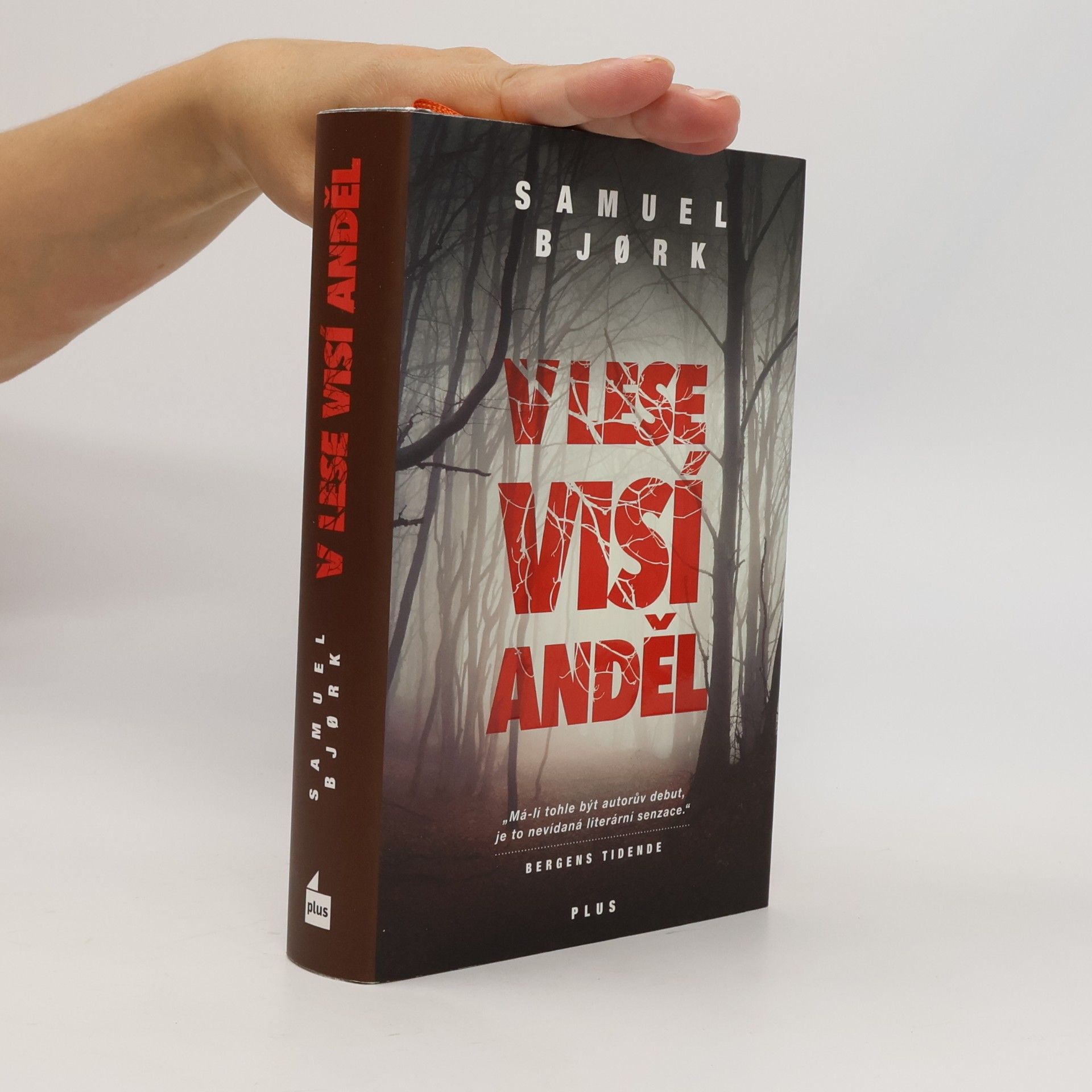 Samuel Bjork V lese visí anděl
