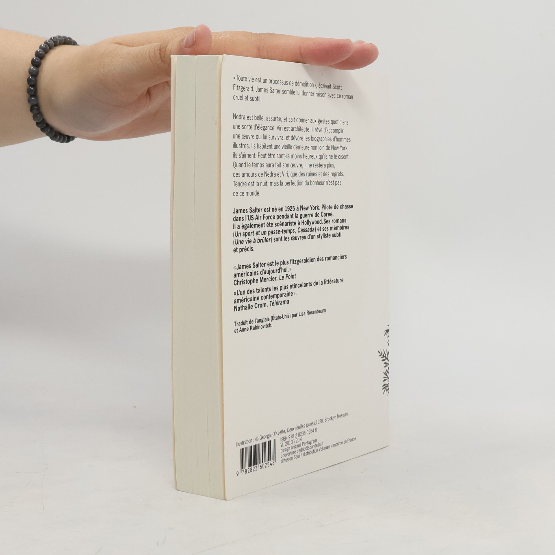 James Salter Un bonheur parfait
