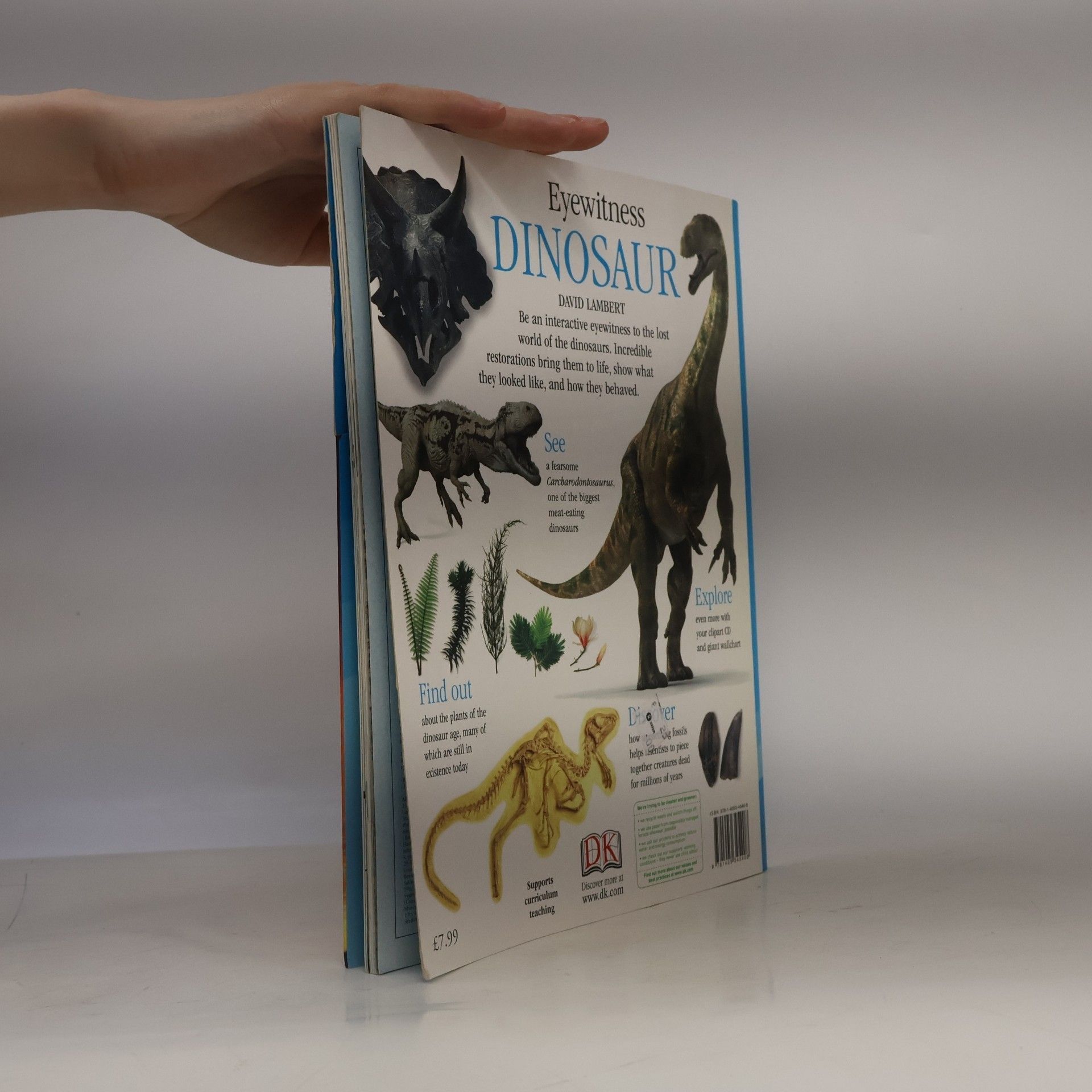 David Lambert Eyewitness: Dinosaur