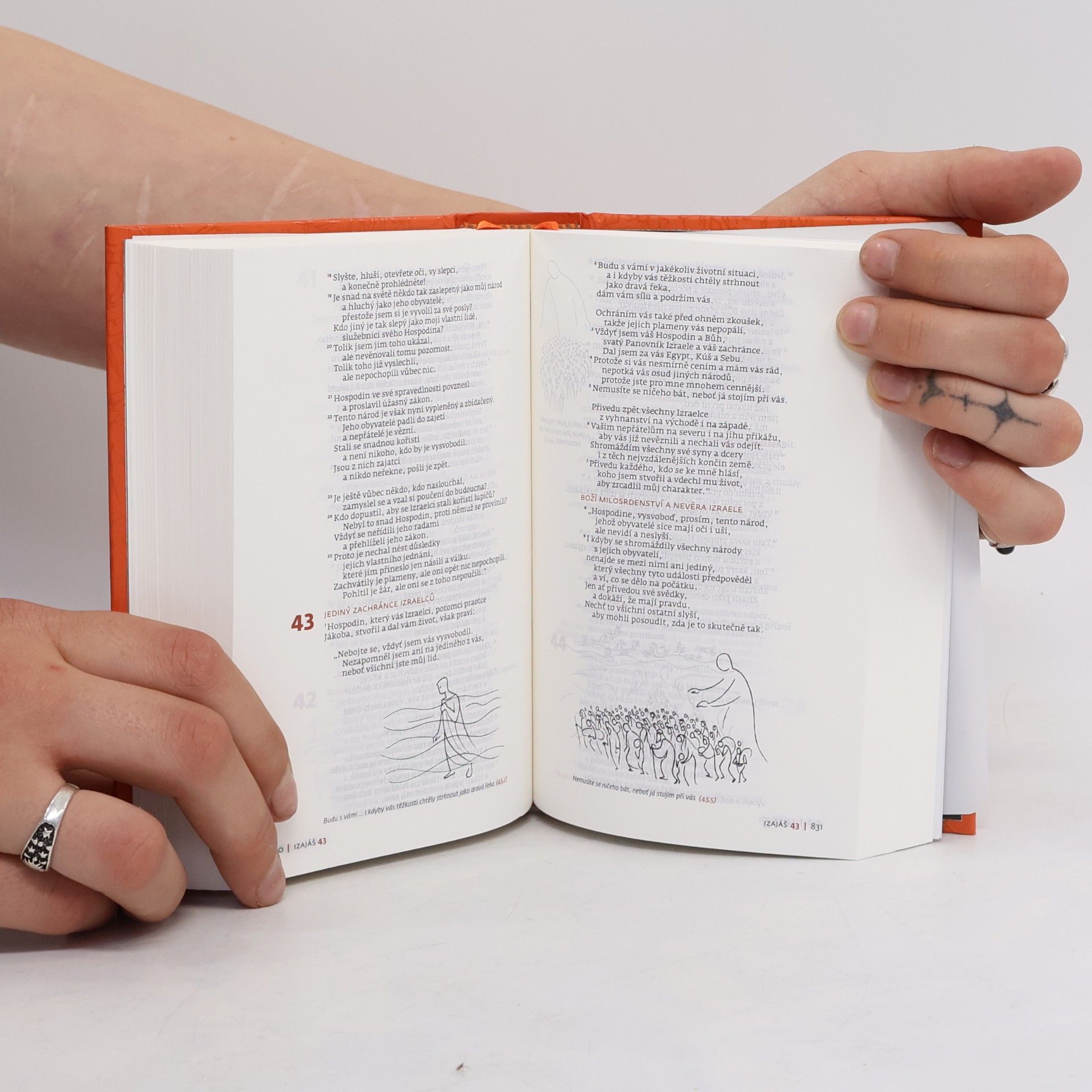 Autorenkollektiv Bible. Slovo na cestu