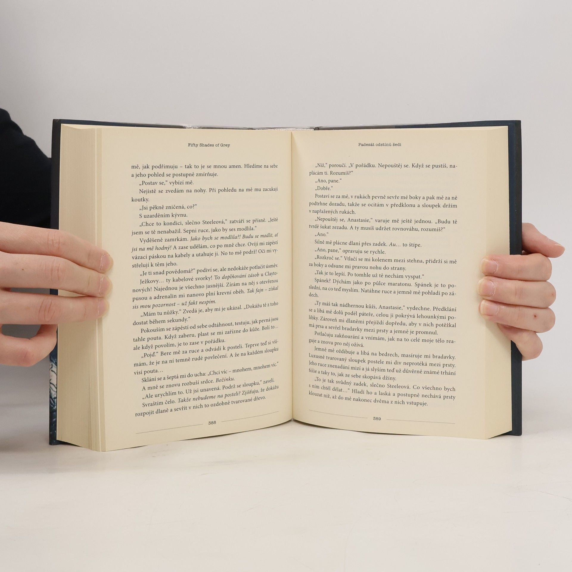 E. L. James Padesát odstínů šedi