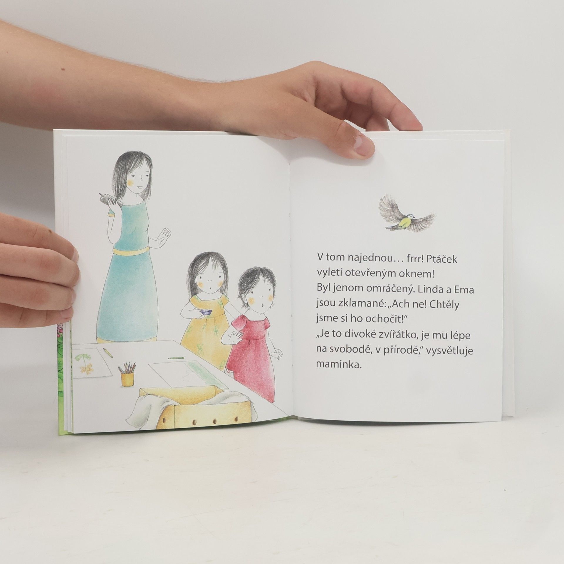 Ève Herrmann Moje malé příběhy Montessori: Zraněný ptáček