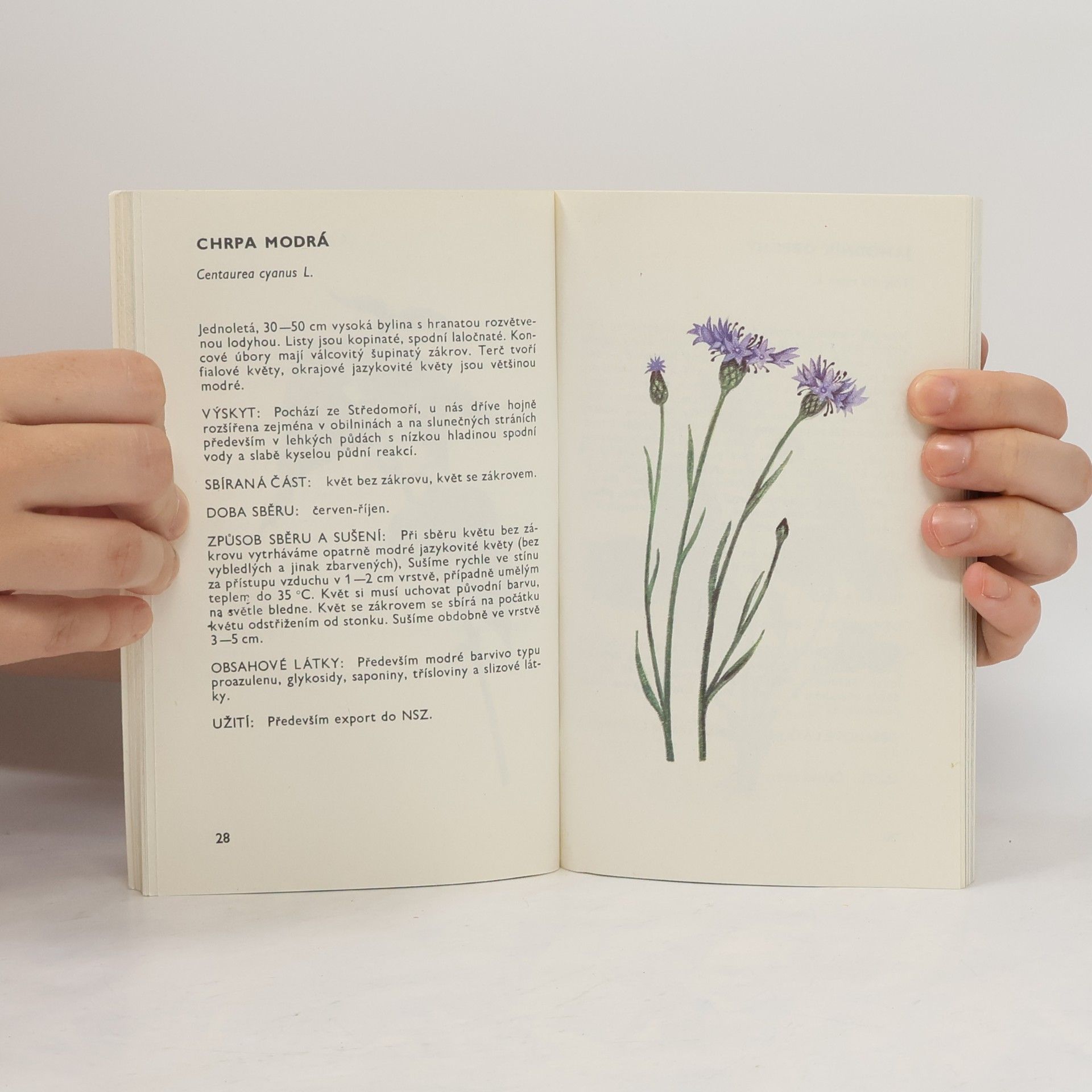Ludmila Černá Malý herbář léčivých rostlin