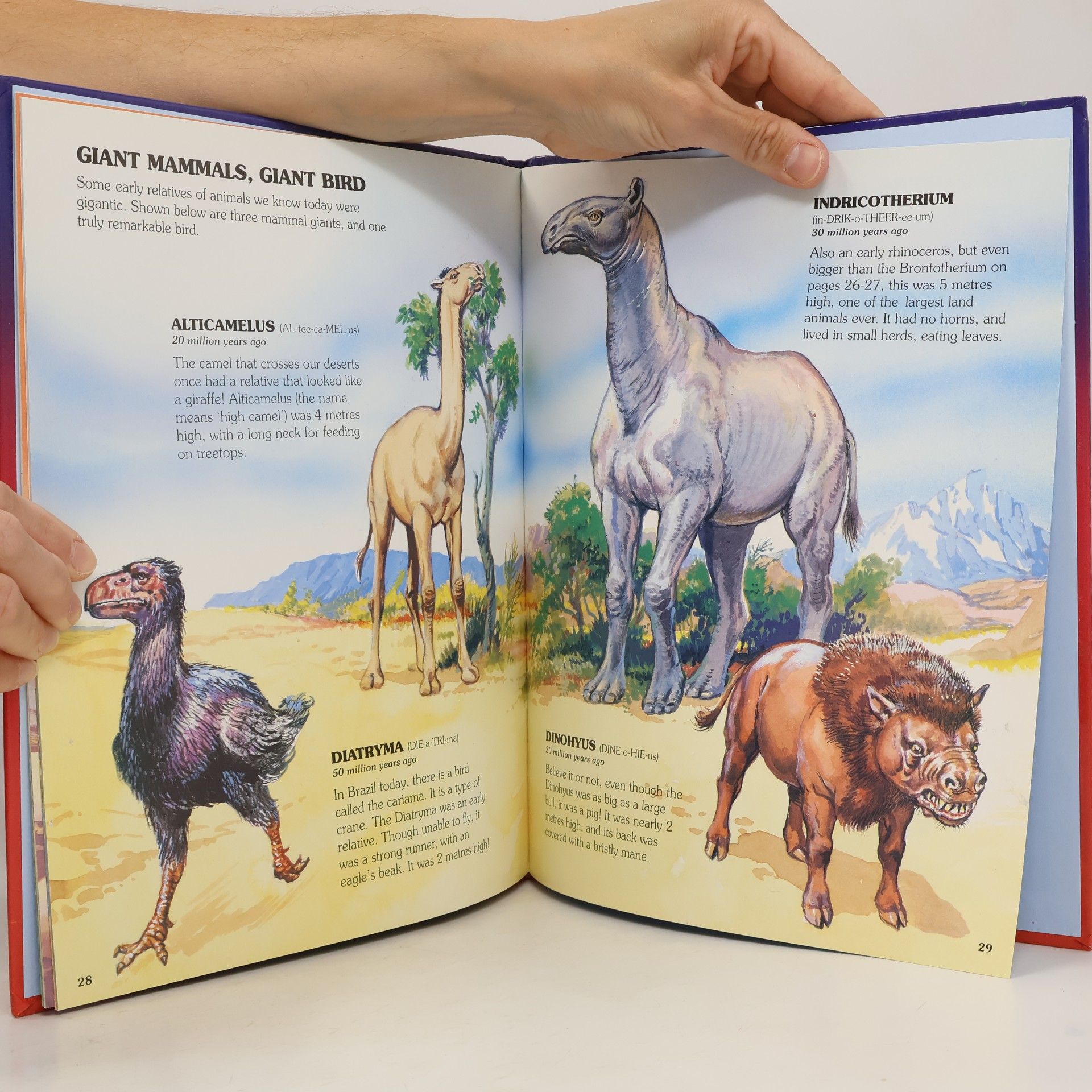 Colin Clark My First Book of Dinosaurs and Other Prehistoric Animals