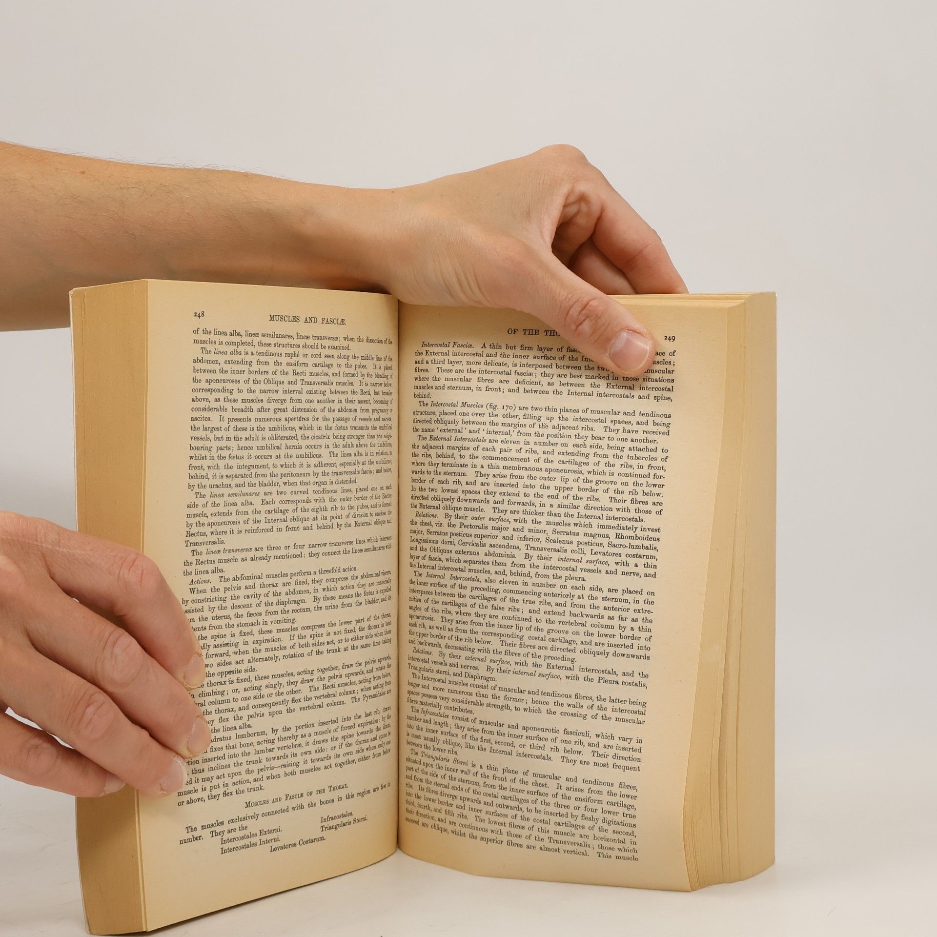 Henry Gray Gray's Anatomy