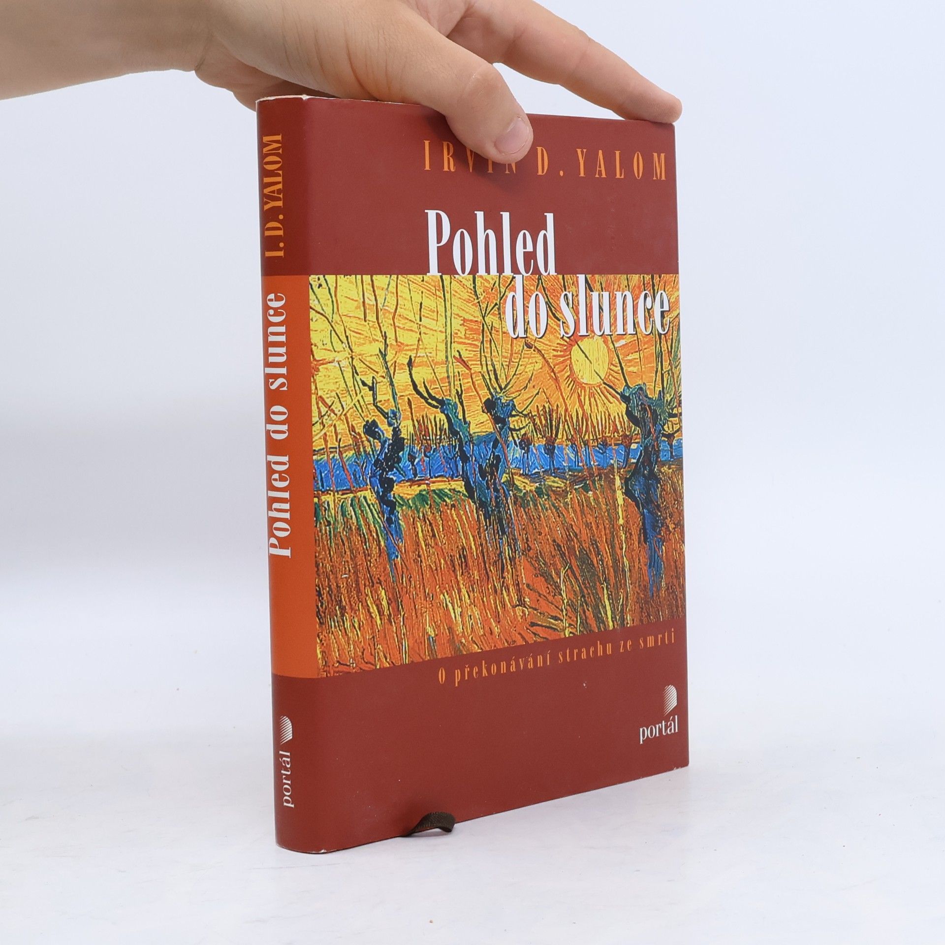 Irvin Yalom Pohled do slunce