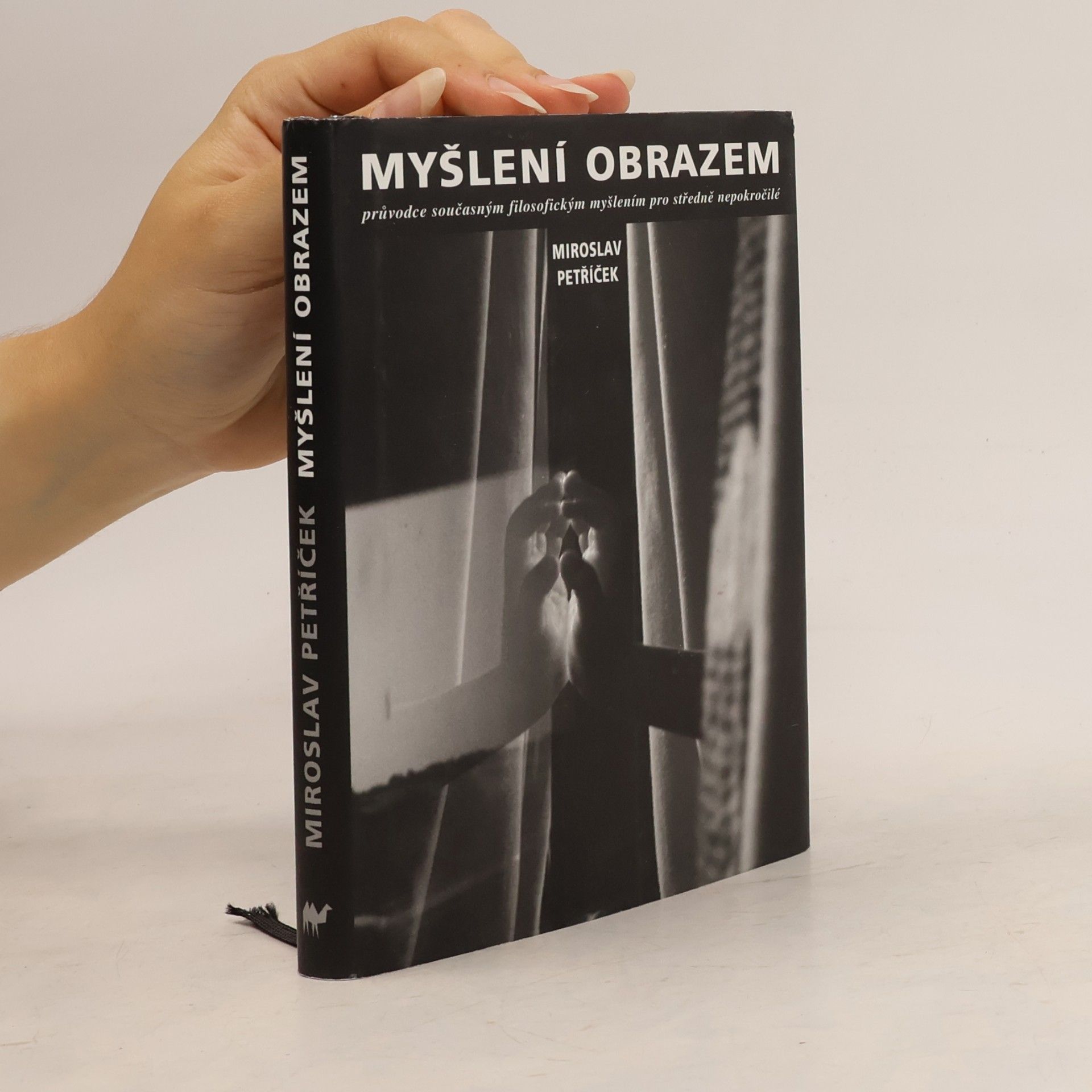 Miroslav Petříček Myšlení obrazem: Průvodce současným filosofickým myšlením pro středně nepokročilé
