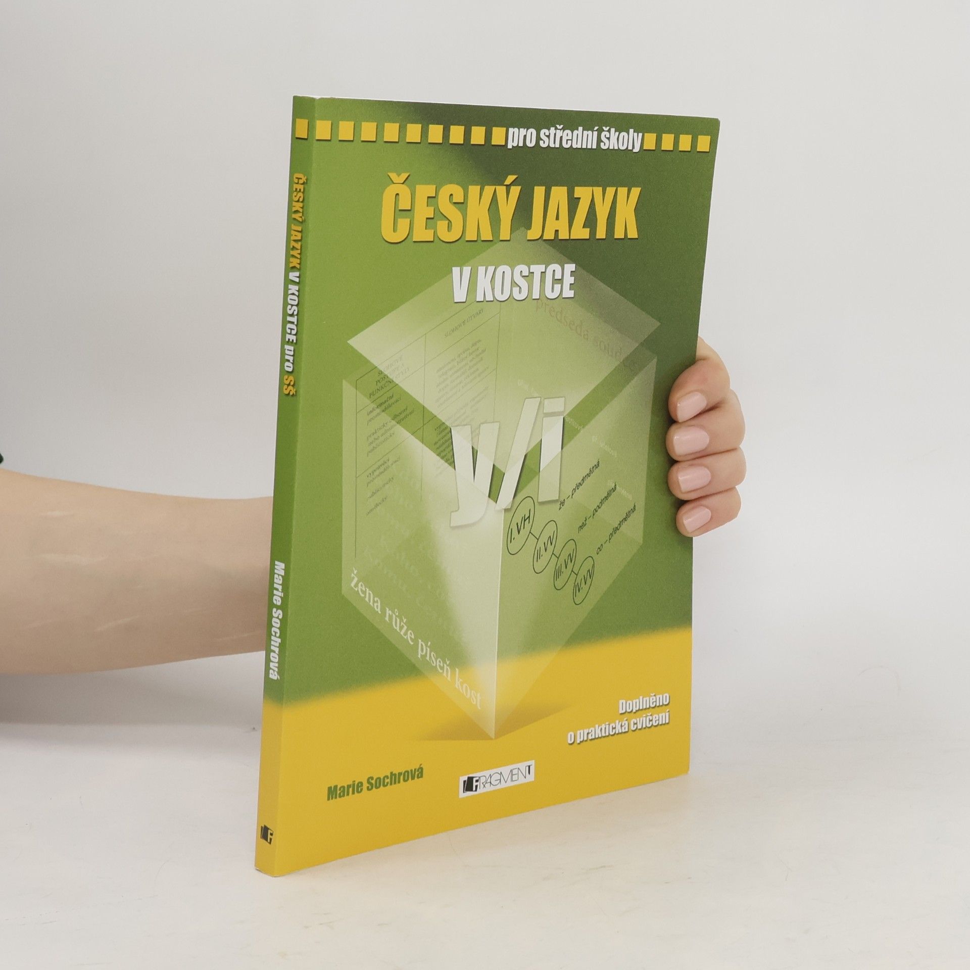 Marie Sochrová Český jazyk v kostce : pro střední školy