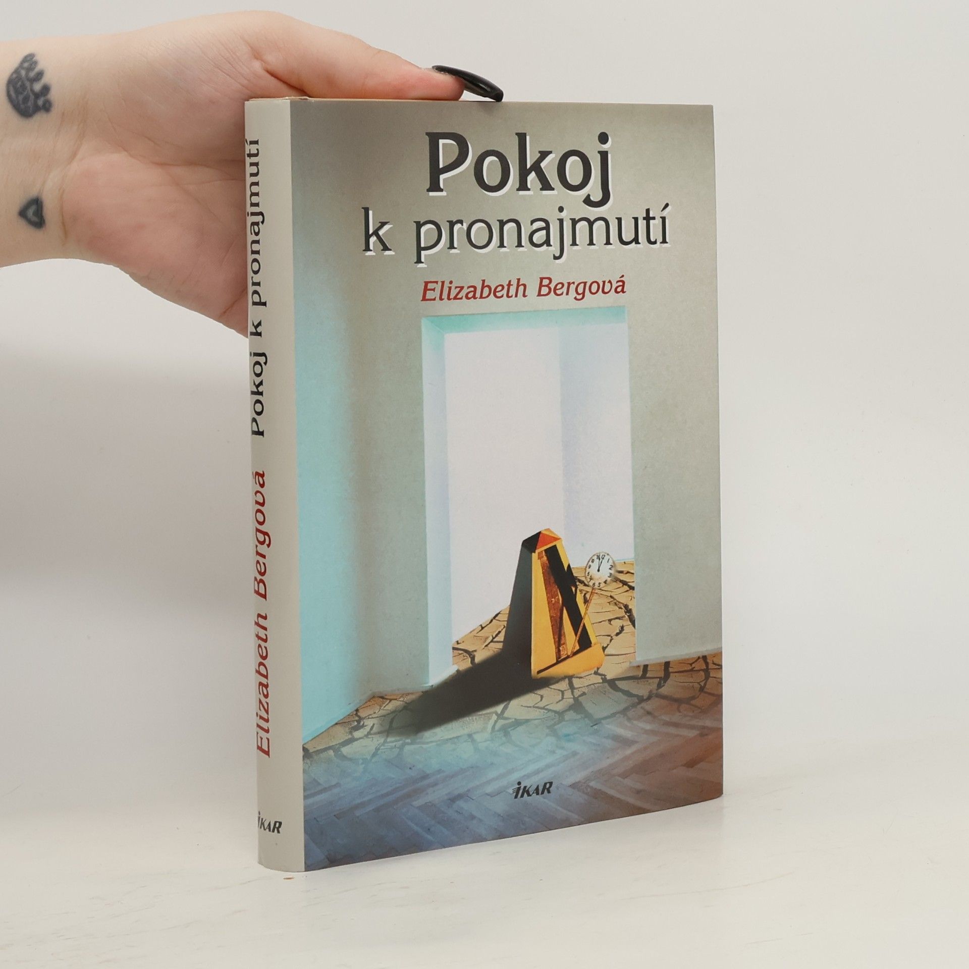 Elizabeth Berg Pokoj k pronajmutí