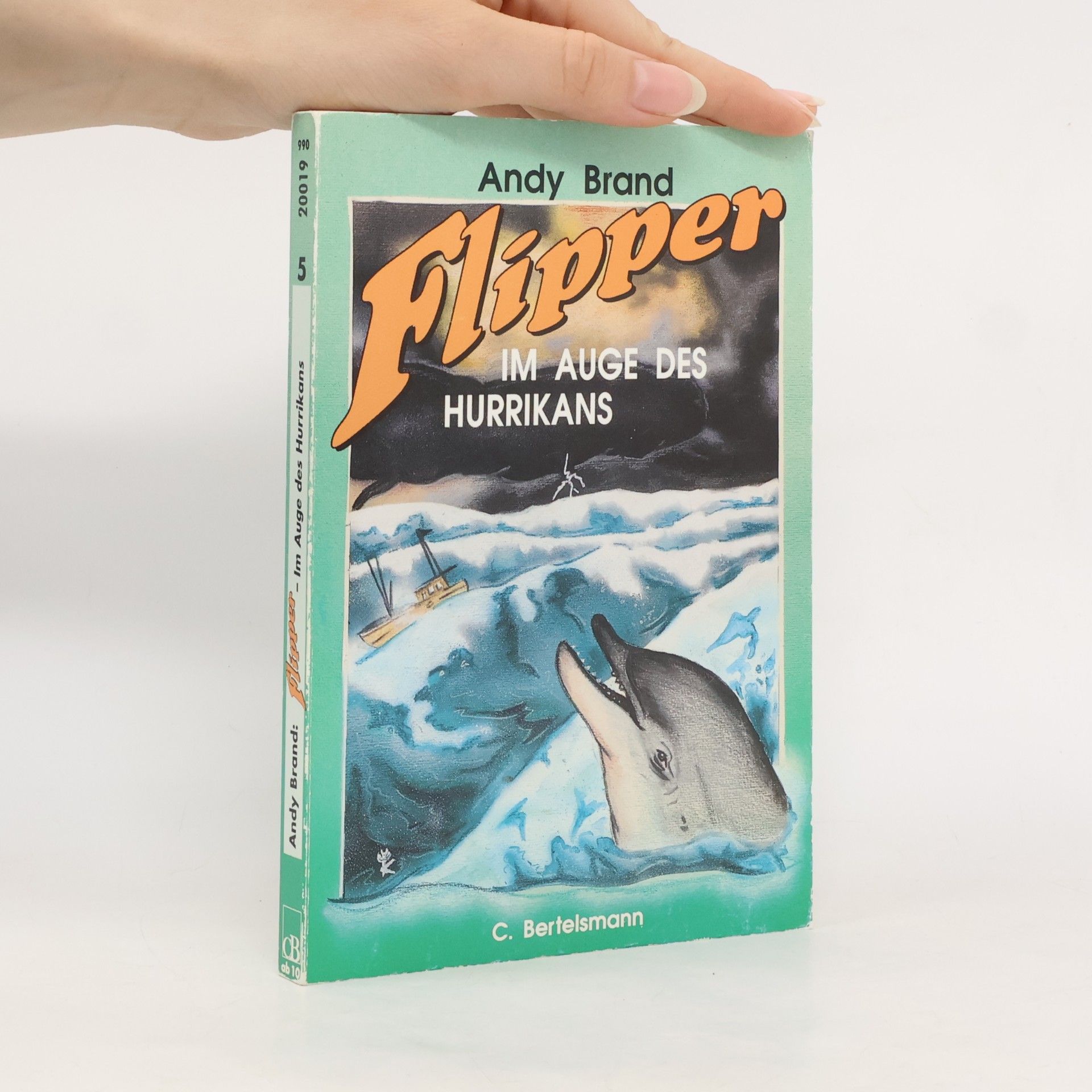Flipper - Im Auge des Hurrikans