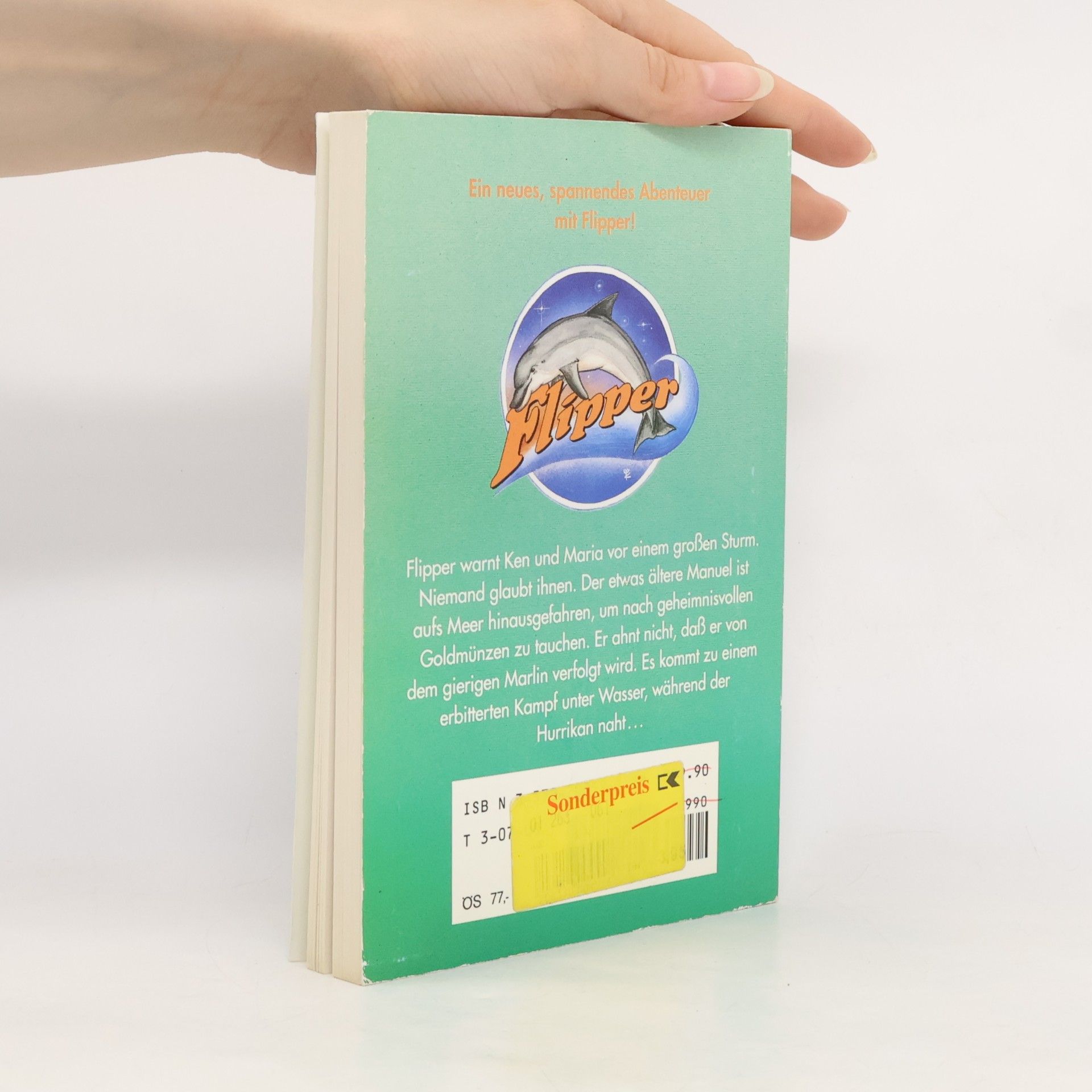 Andy Brand Flipper - Im Auge des Hurrikans