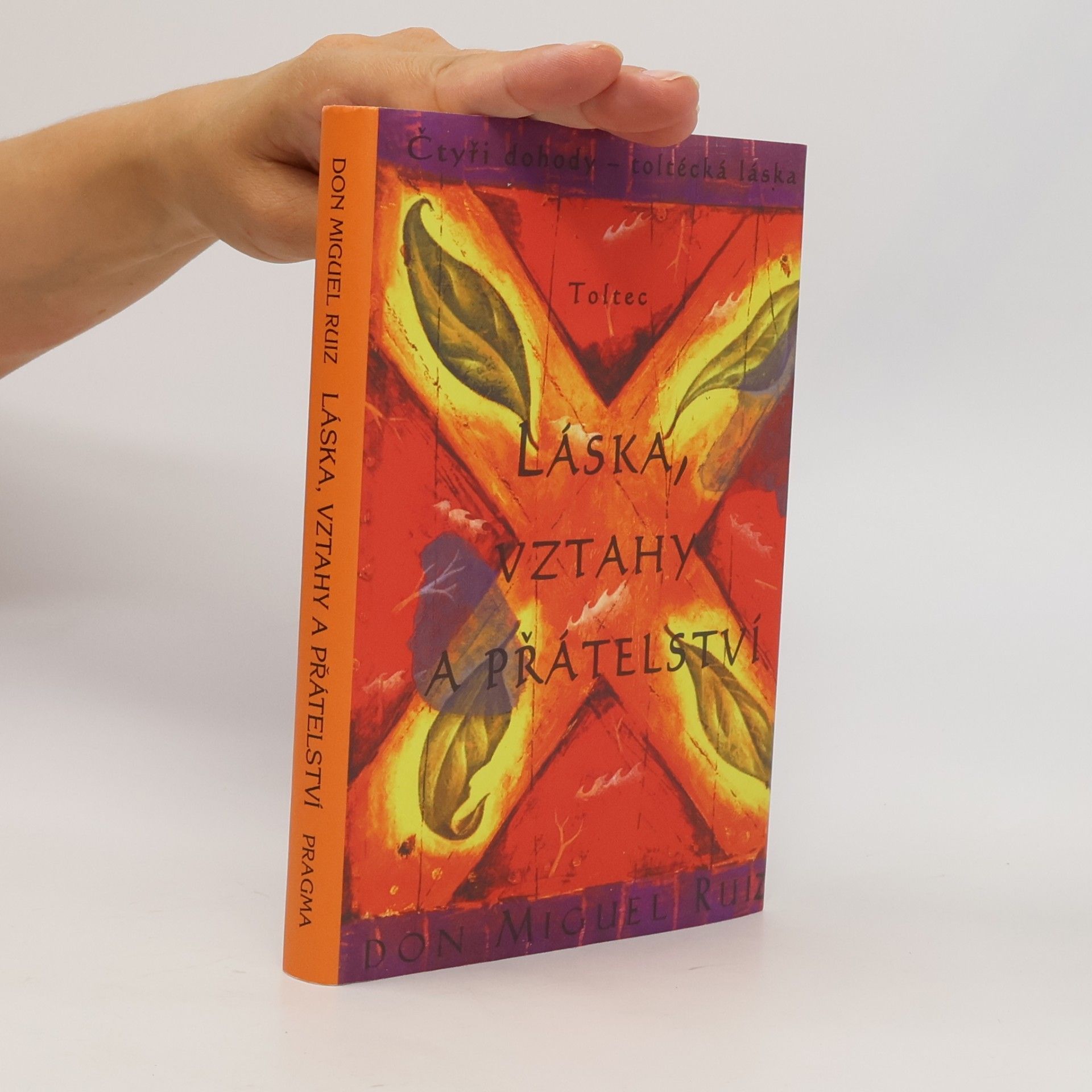 Don Miguel Ruiz Láska, vztahy a přátelství