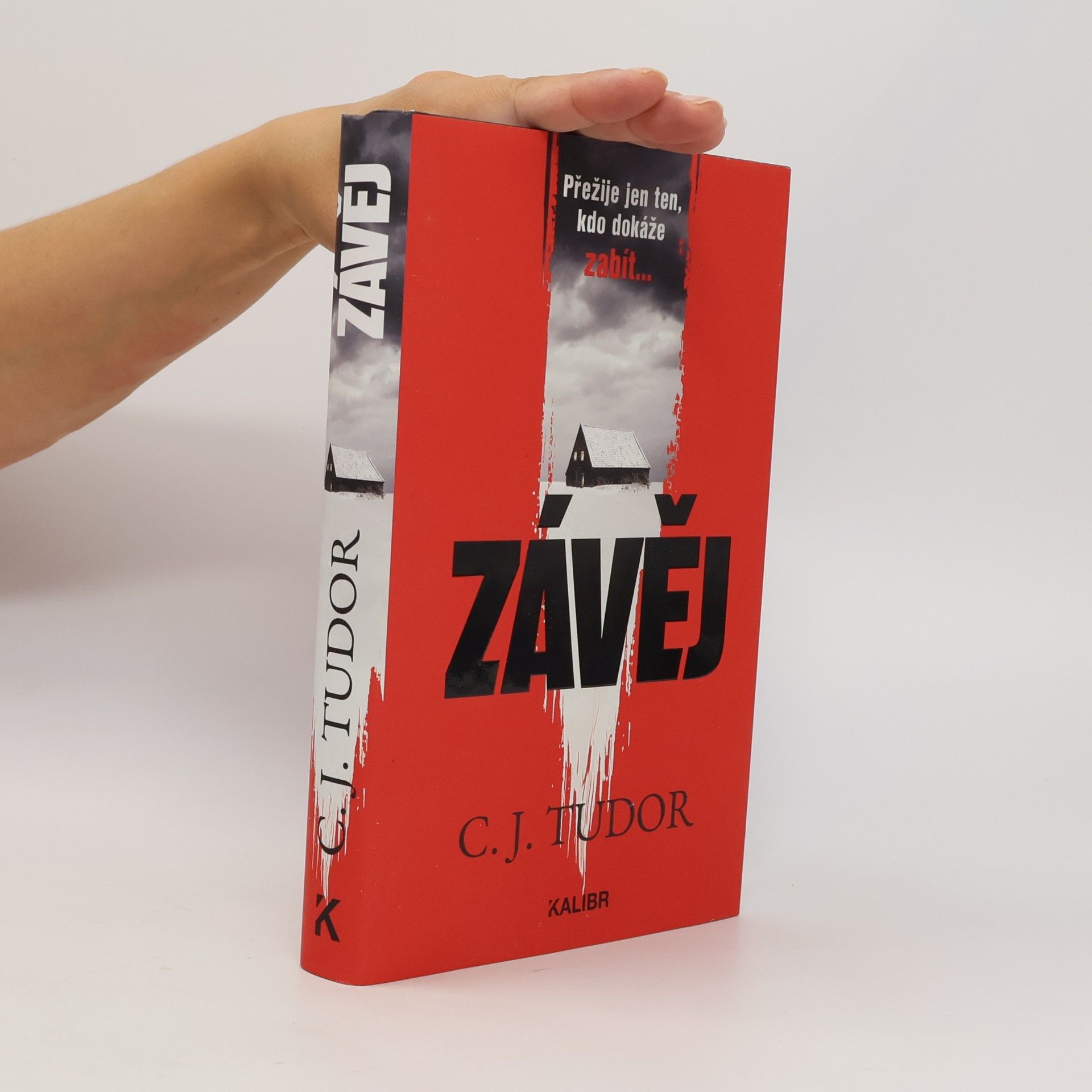 Jana Kunová Závěj