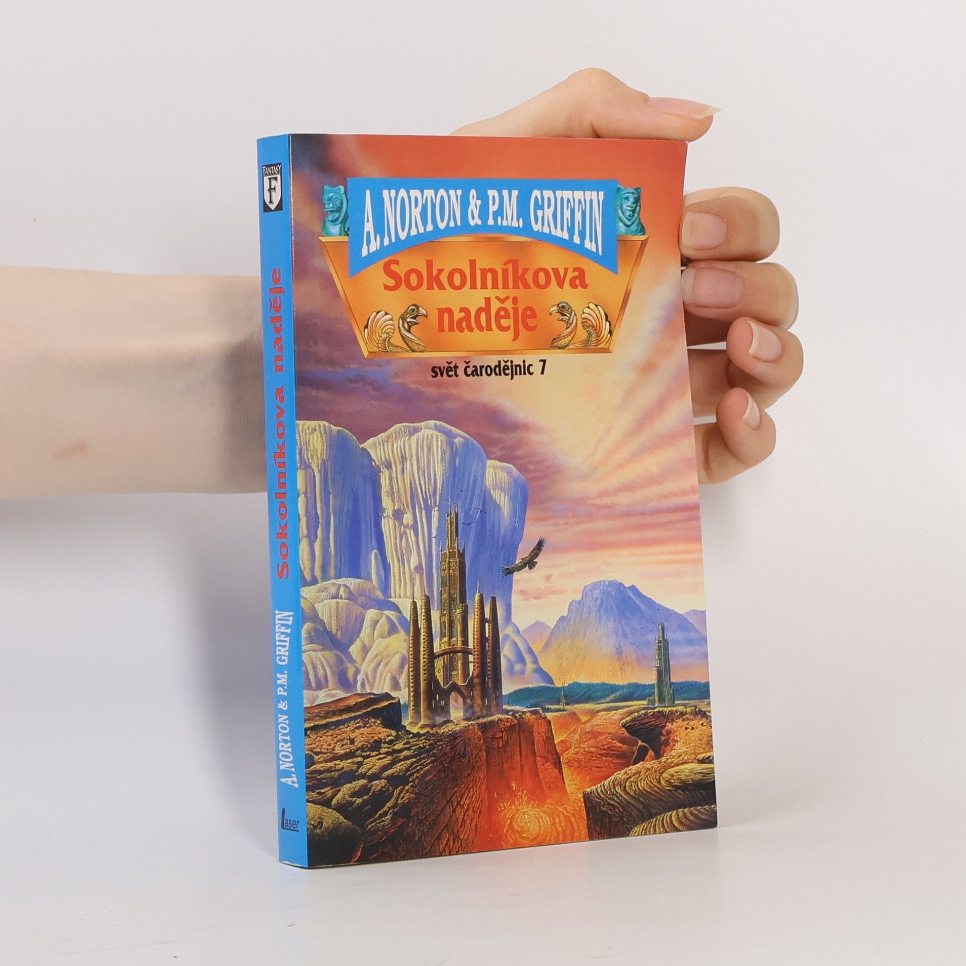 Andre Norton Svět čarodějnic 7, Sokolníkova naděje