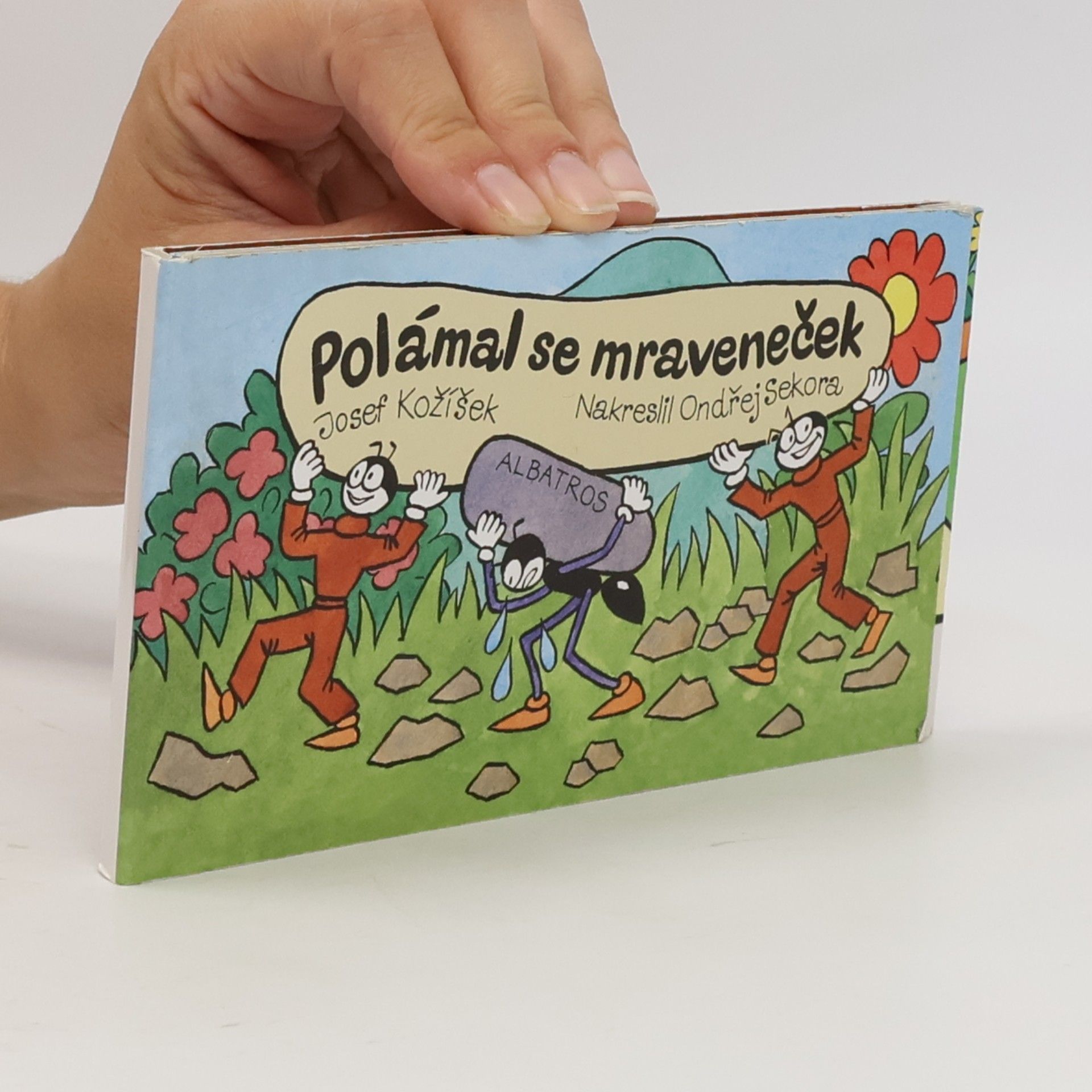 Polámal se mraveneček