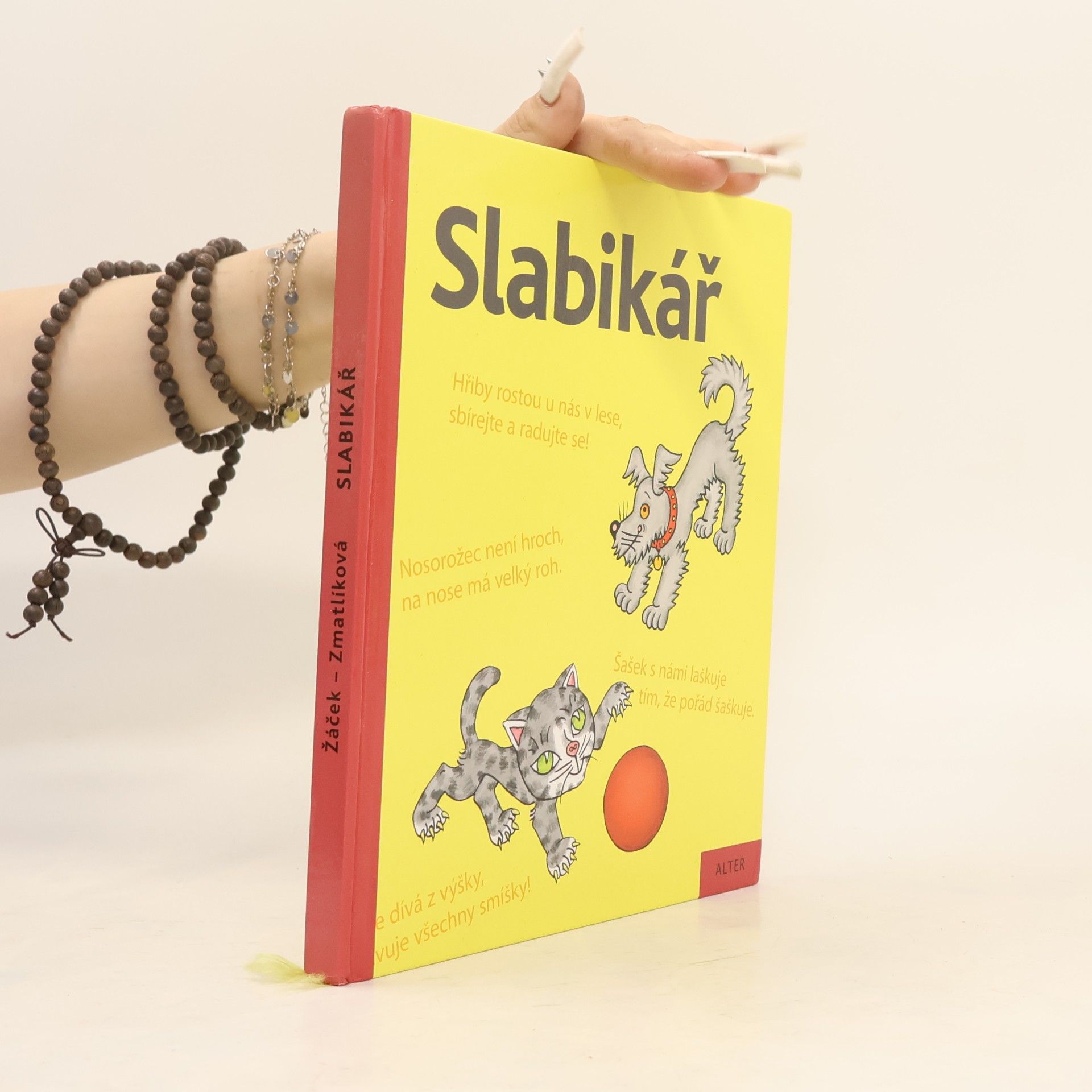 Helena Zmatlíková Slabikář : učebnice pro vzdělávací obor Český jazyk a literatura