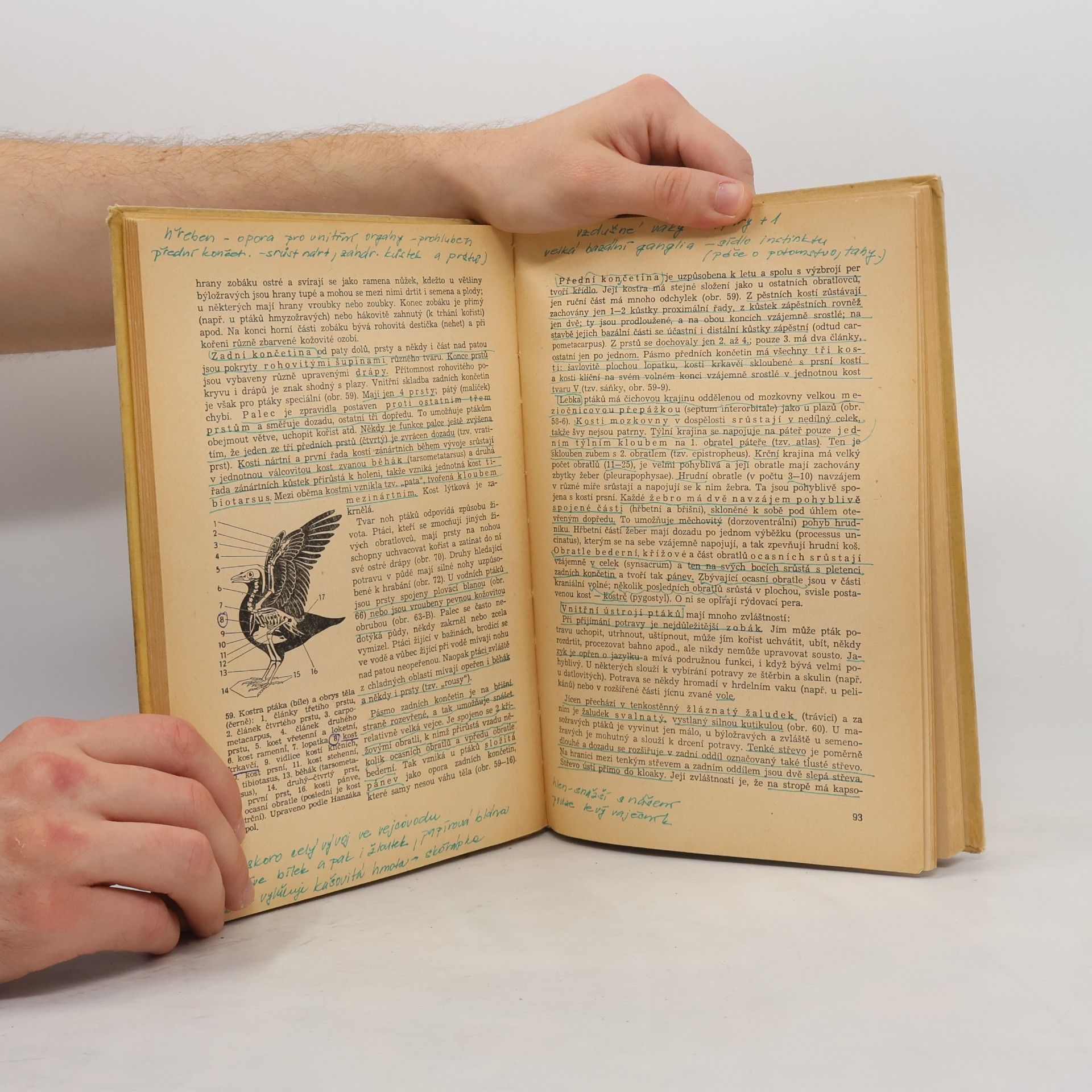 Josef Kratochvíl Použitá zoologie 2. Obratlovci