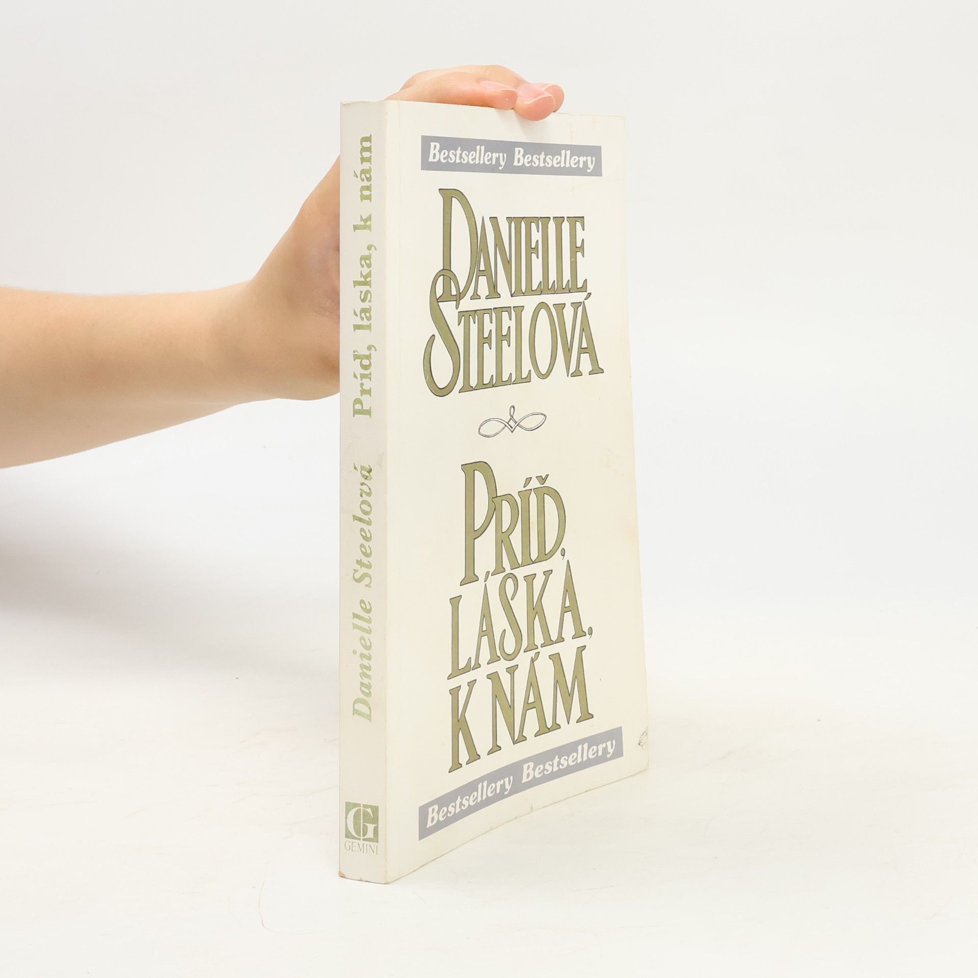 Danielle Steel Príď láska k nám