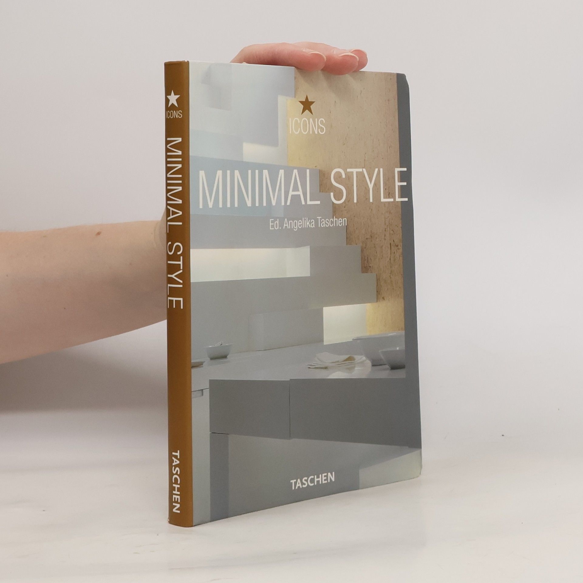 Christian E. Reiter Icons: Minimal Style