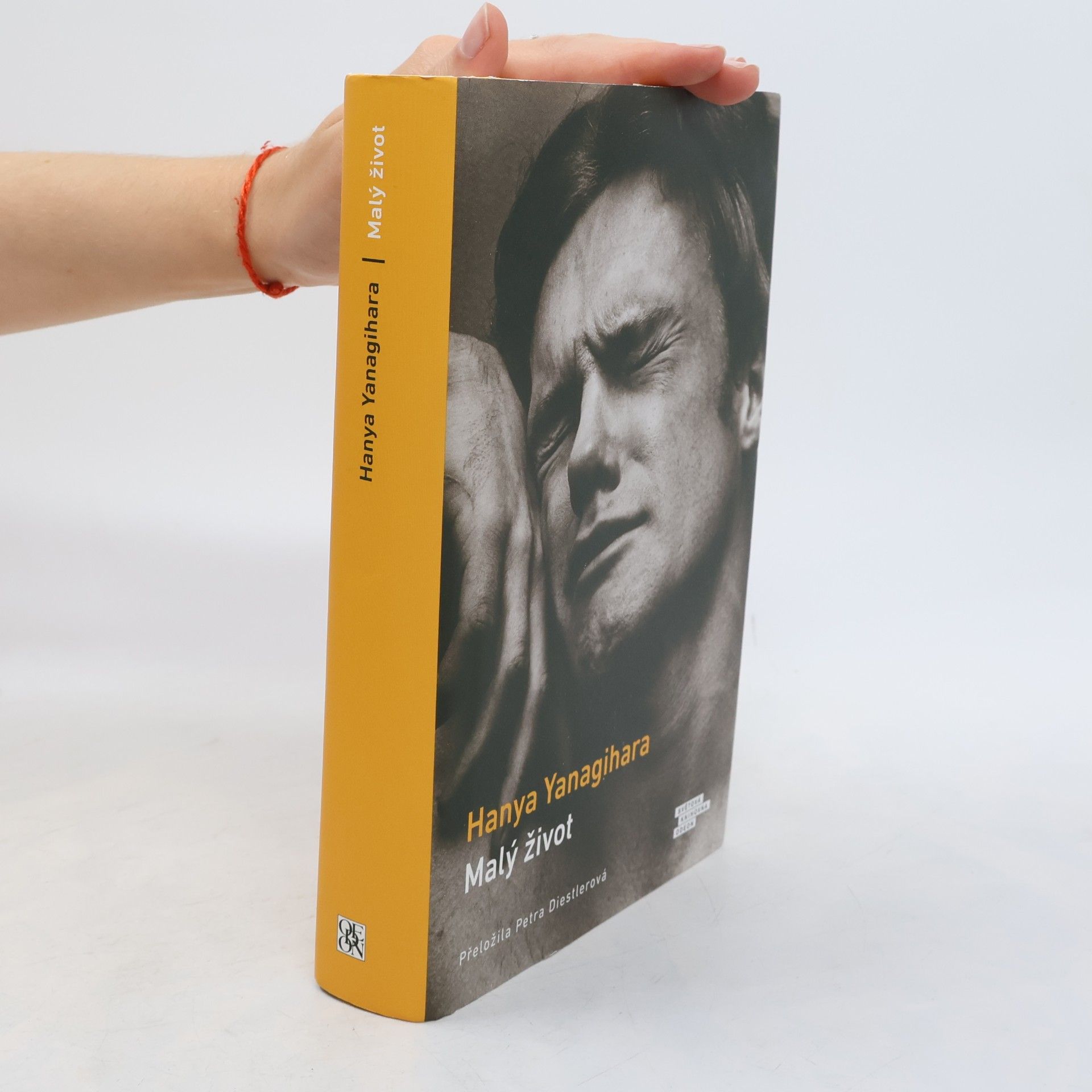 Hanya Yanagihara Malý život