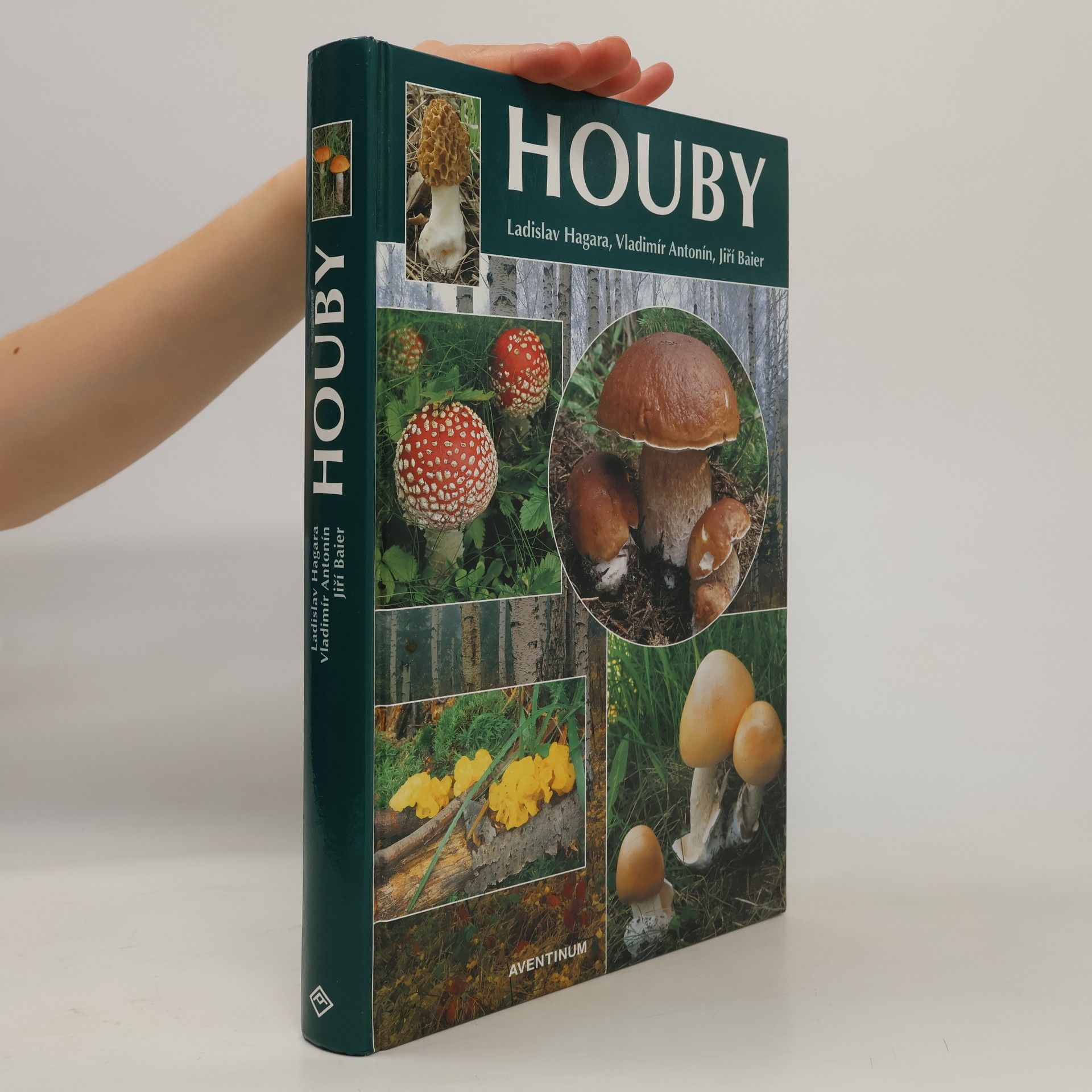 Ladislav Hagara Houby