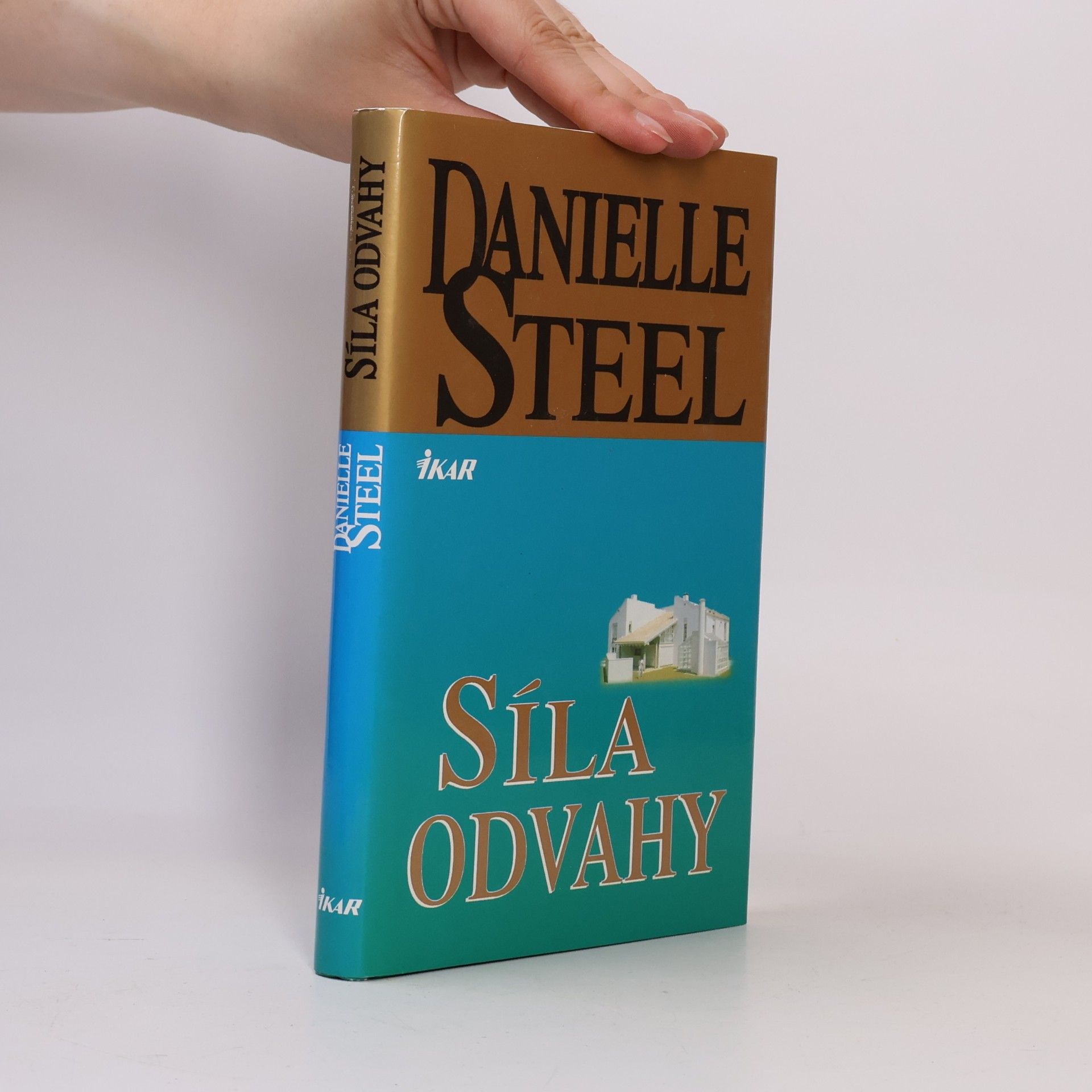 Danielle Steel Síla odvahy