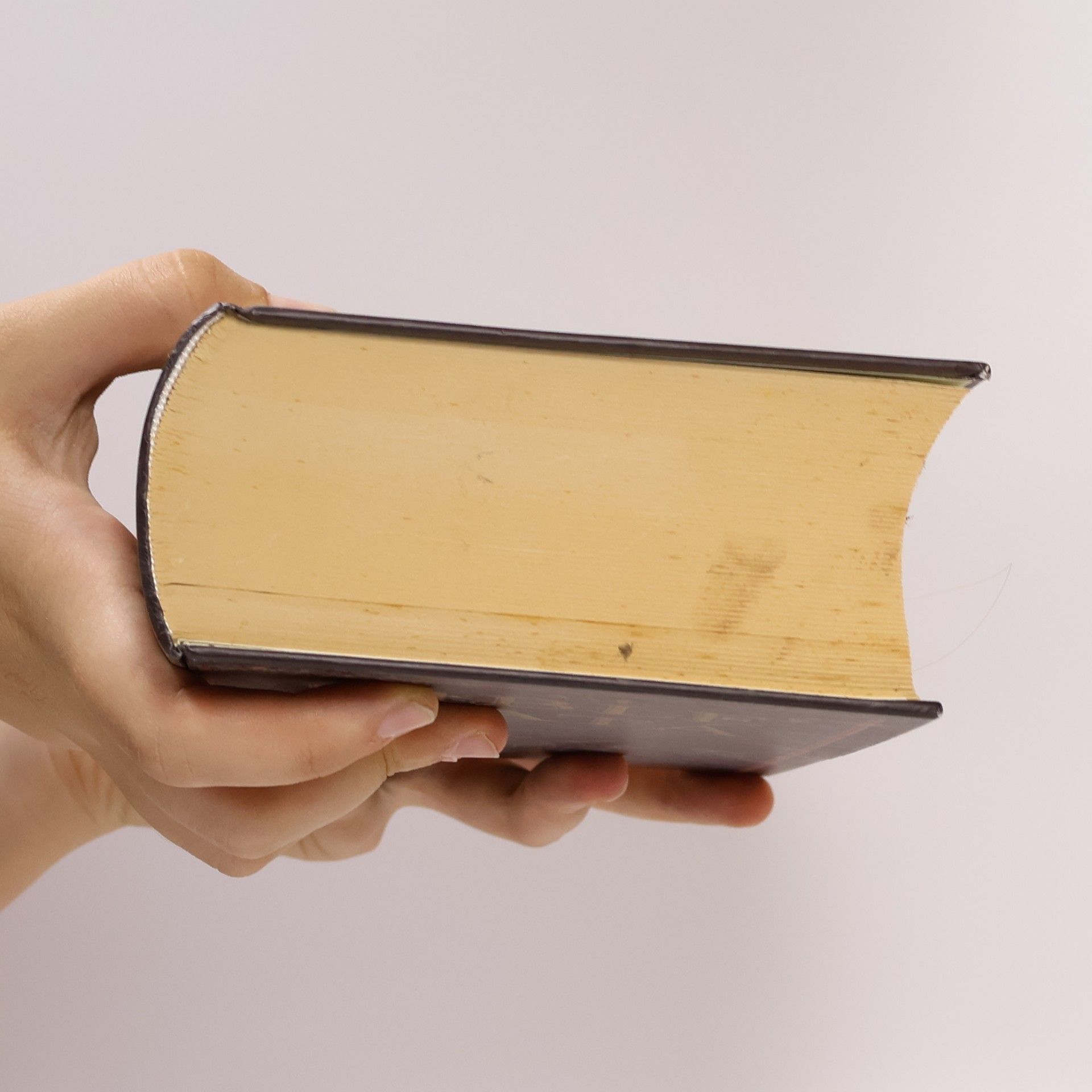 Kolektiv autorů Bible svatá aneb všecka svatá písma Starého i Nového zákona