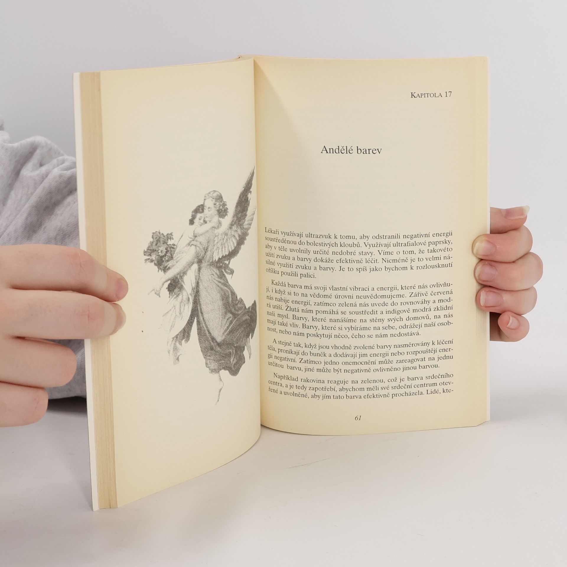 Diana Cooper Světla andělů. Andělé nám pomáhají