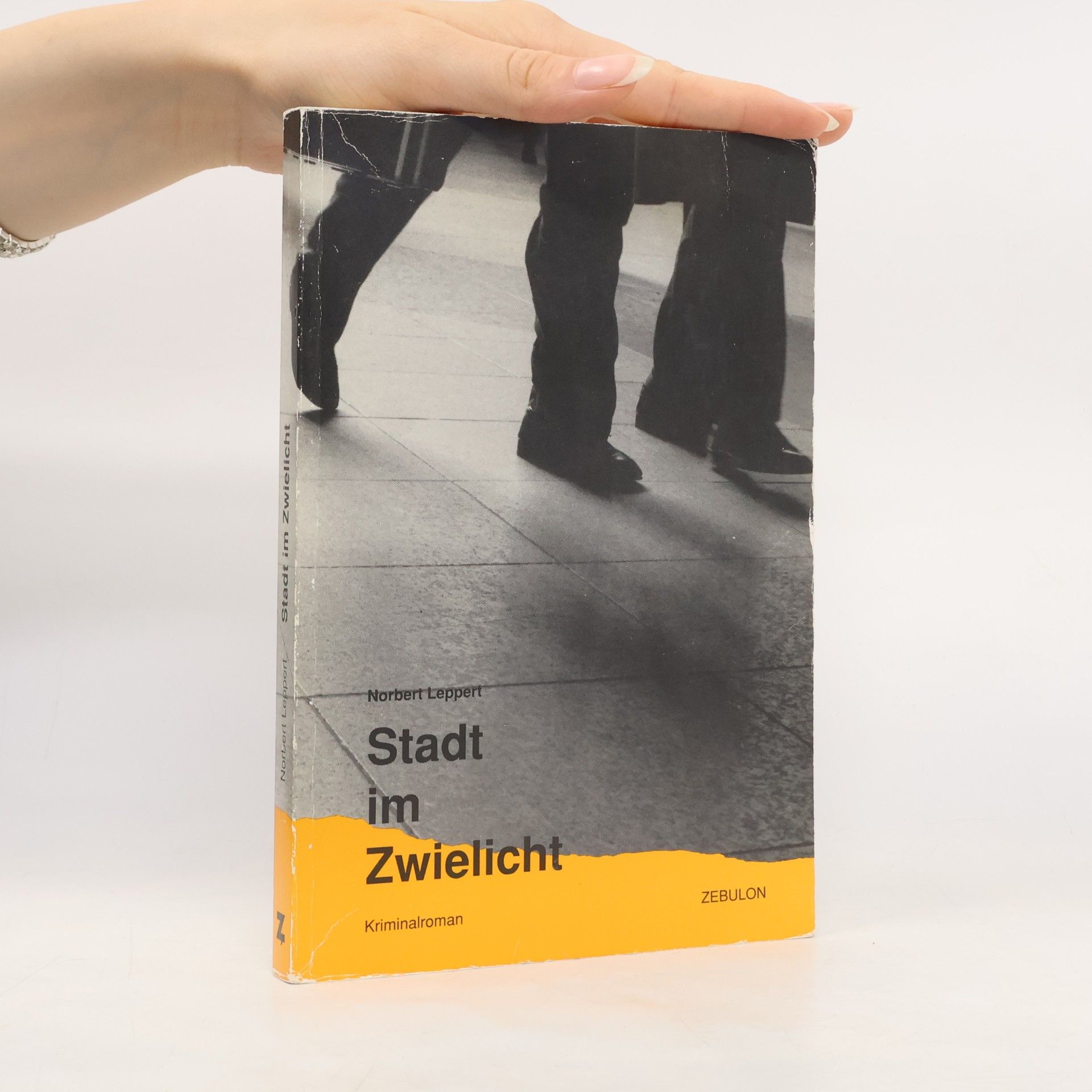 Norbert Leppert Stadt im Zwielicht. Kriminalroman
