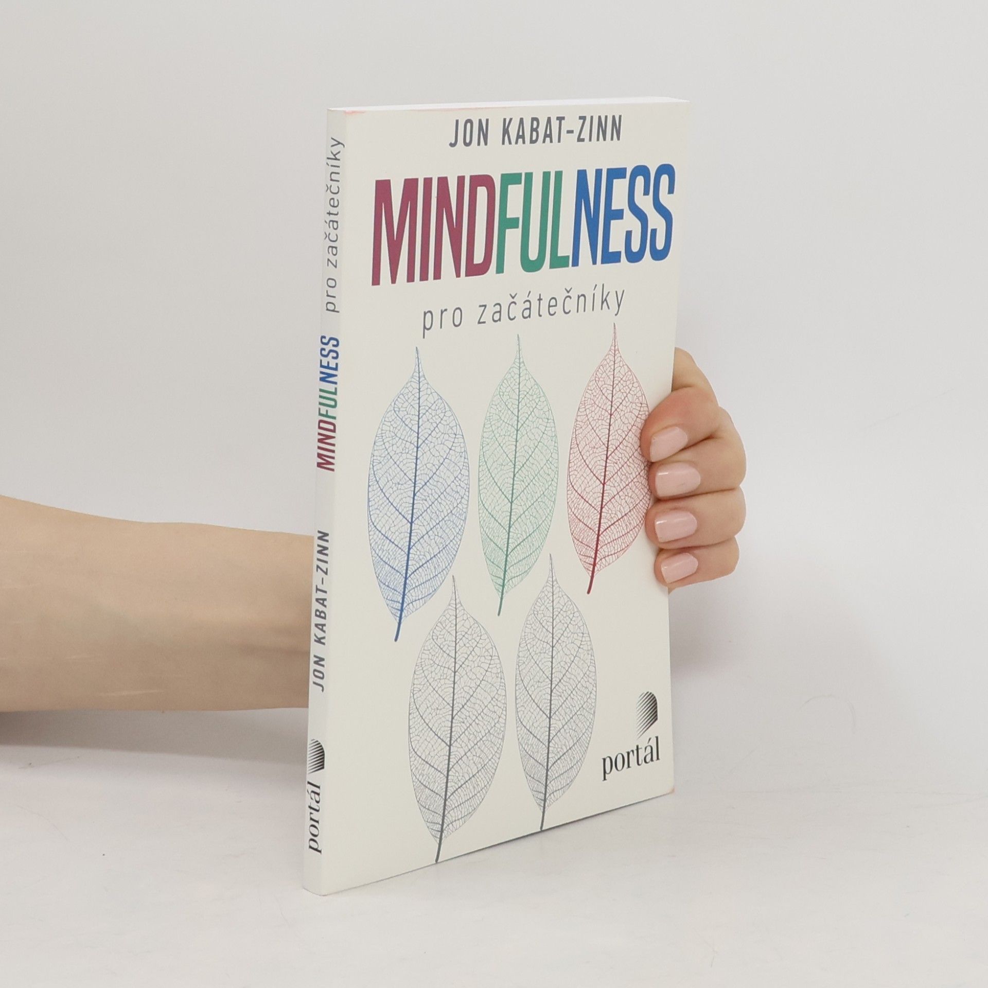 Mindfulness pro začátečníky
