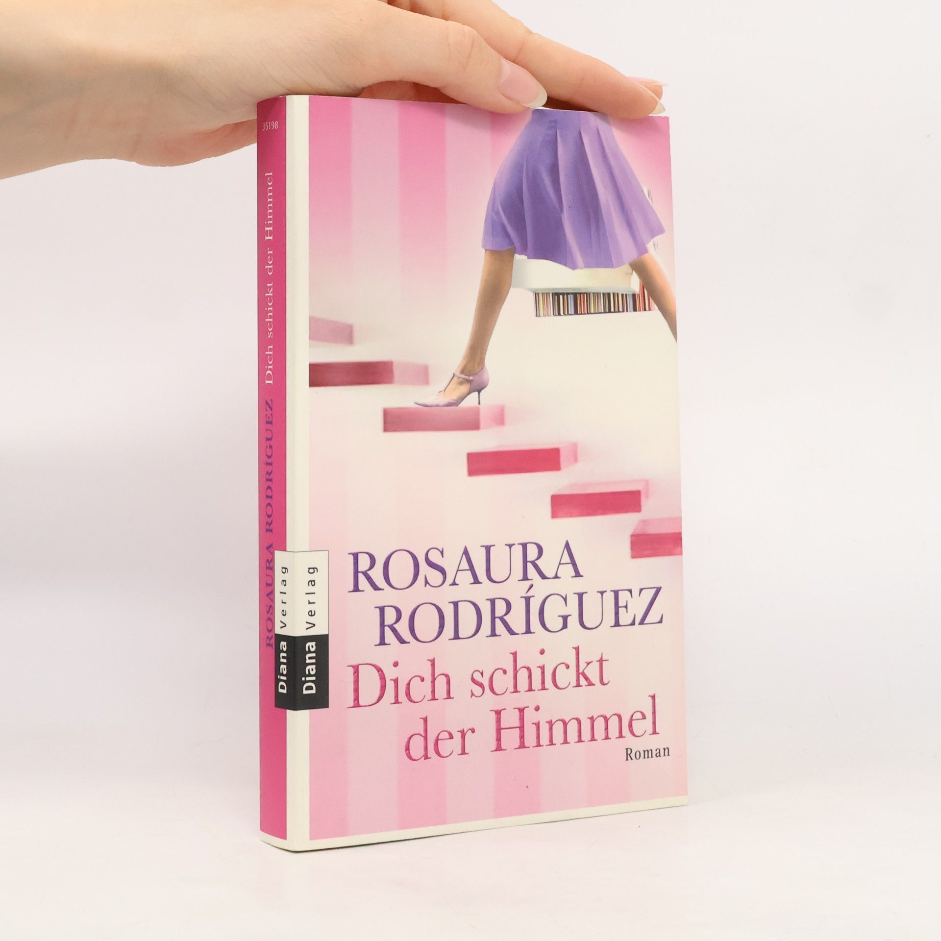 Rosaura Rodriguez Dich schickt der Himmel. Roman