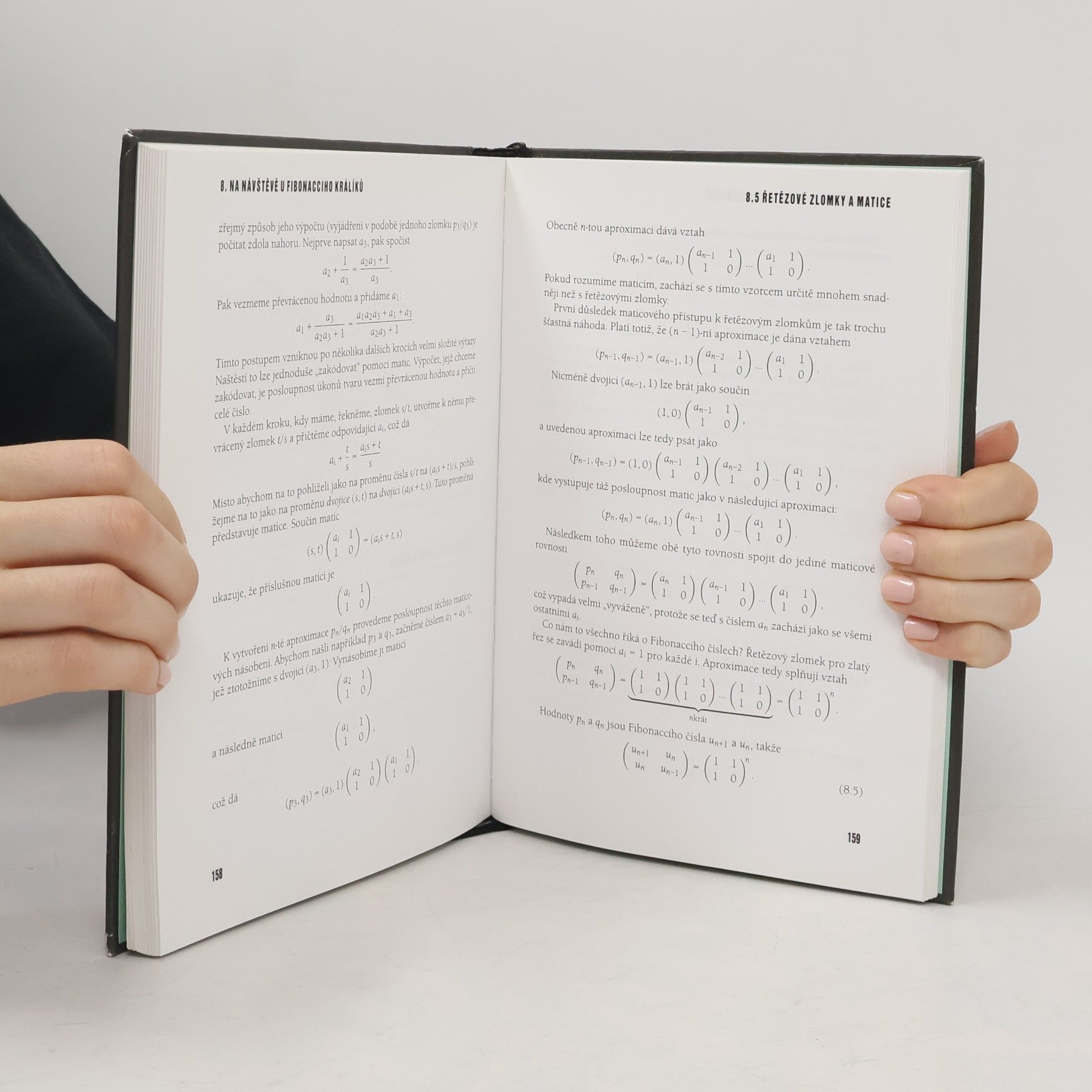 Keith M. Ball Podivuhodné křivky, počítání králíků a jiná matematická dobrodružství