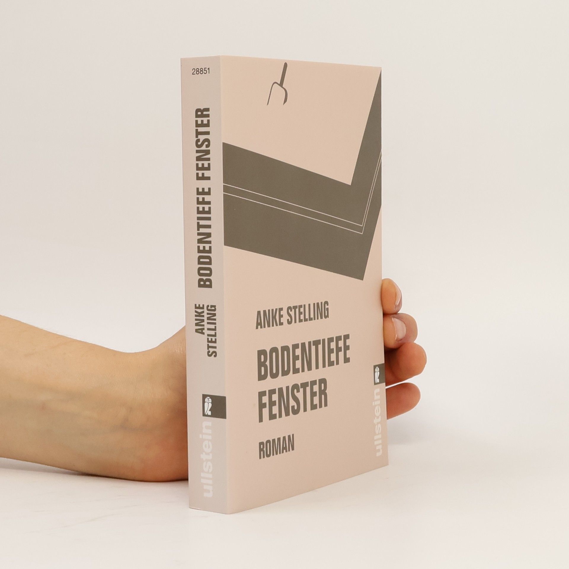 Anke Stelling Bodentiefe Fenster