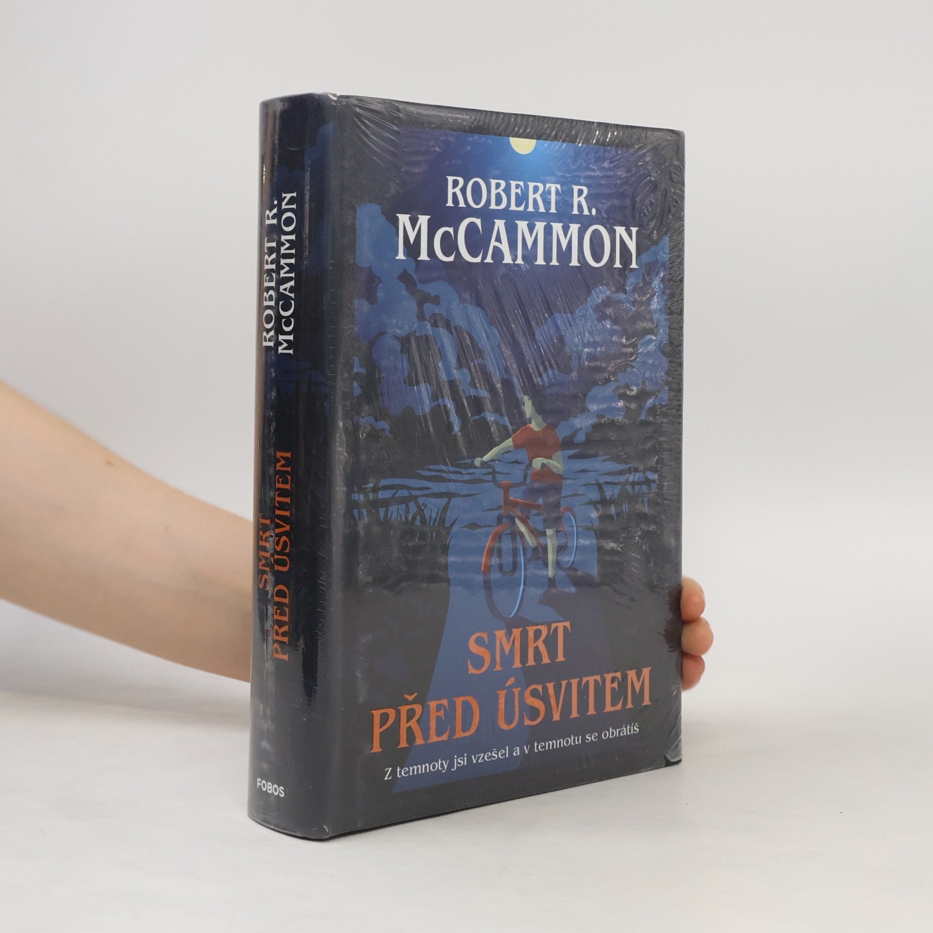 Robert R. McCammon Smrt před úsvitem